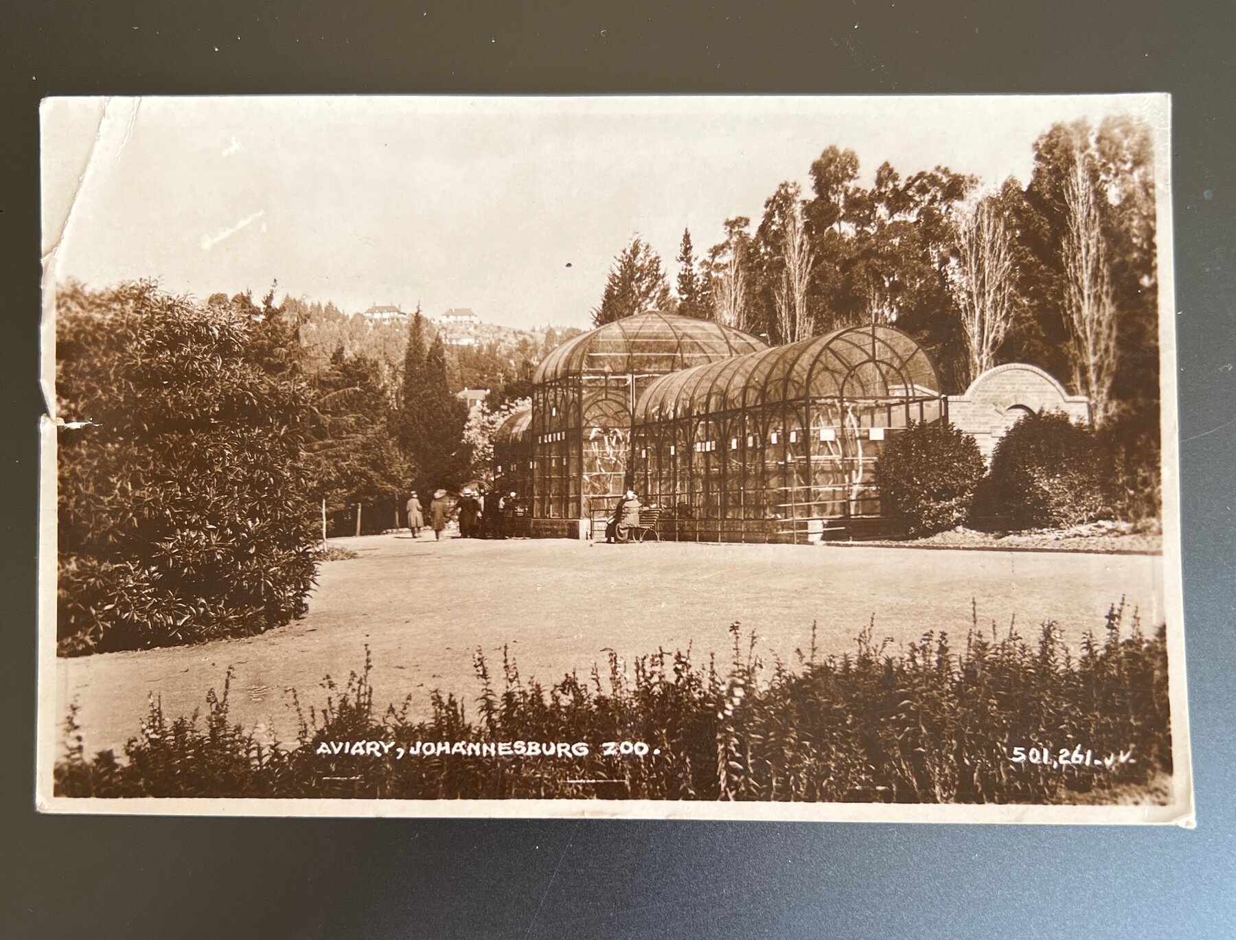 Aviary Johannesburg Zoo South Africa Real Photo Postcard 1933