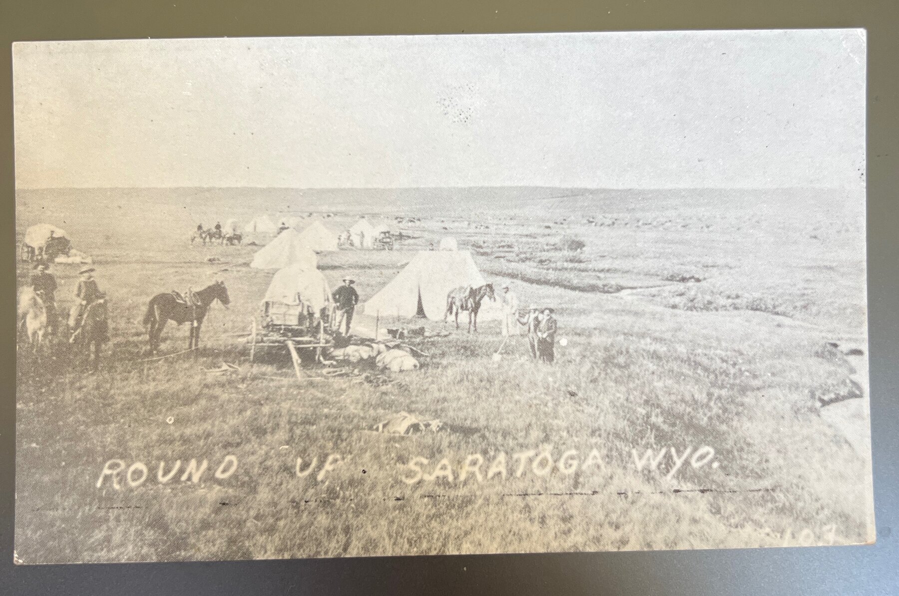 Cattle Round Up Saratoga Wyoming Cowboys RPPC Postcard 1910