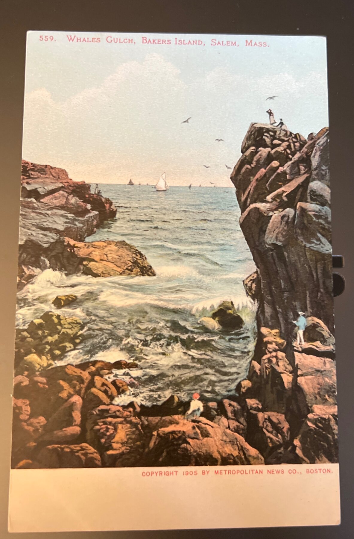 Postcard 1905 Whales Gulch Bakers Island Salem MA Undivided Back UDB