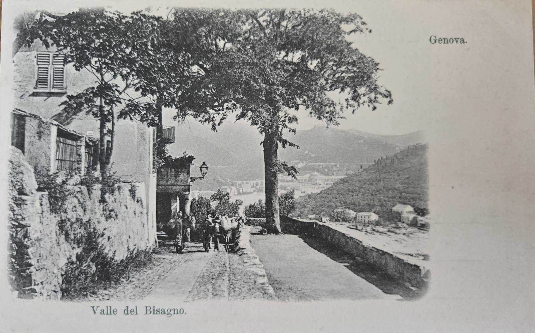 Genova Valle del Bisagno Italy Street Scene Postcard c1902