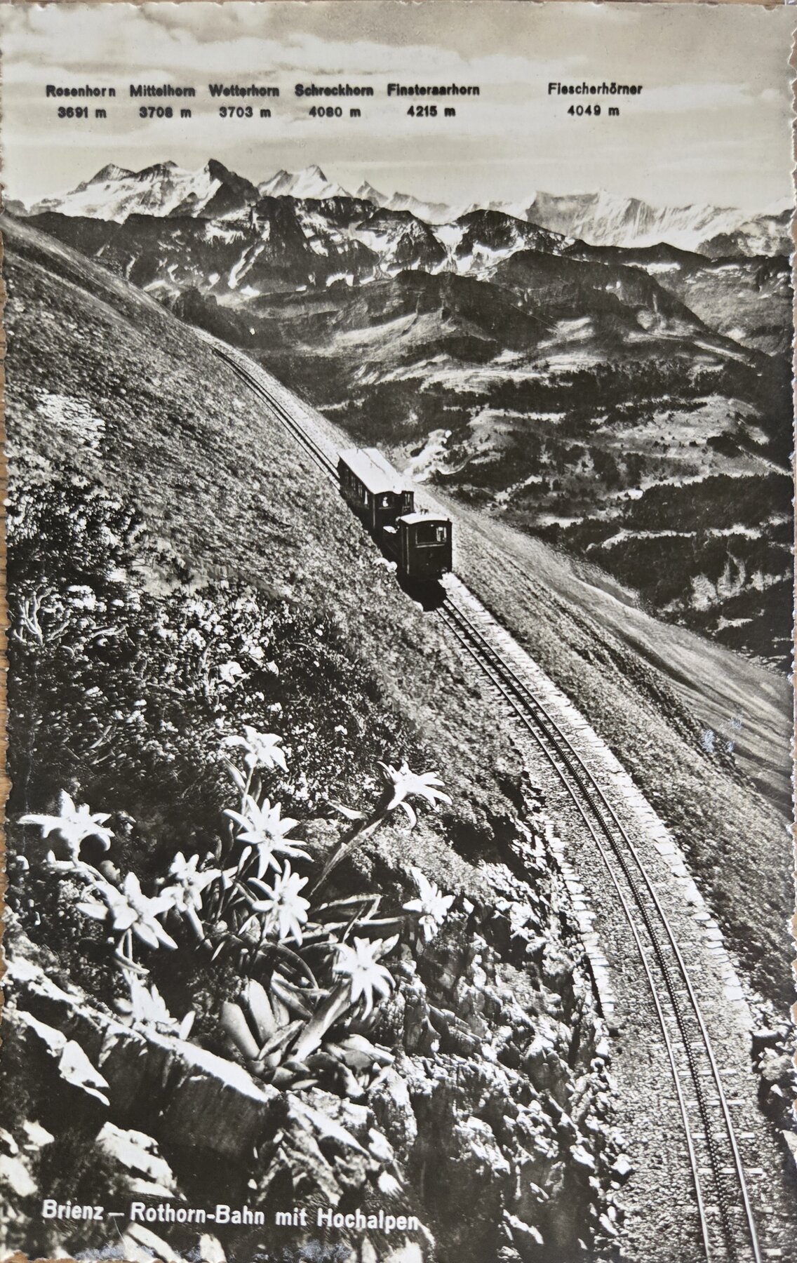 Brienz Rothorn Bahn Steam Railway Swiss Alps Edelweiss Postcard c1910