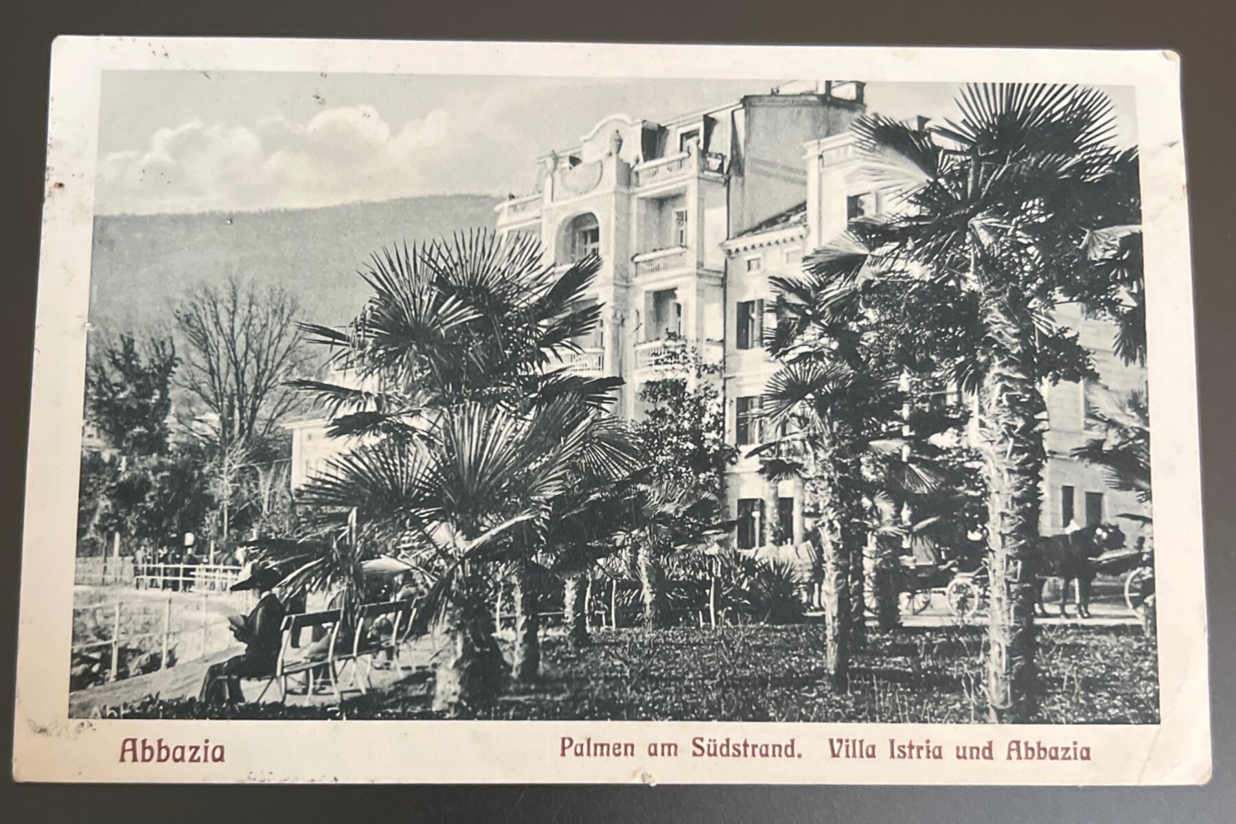 Postcard 1924 Abbazia Villa Istria Palmen Südstrand Austria Italy RPPC Used