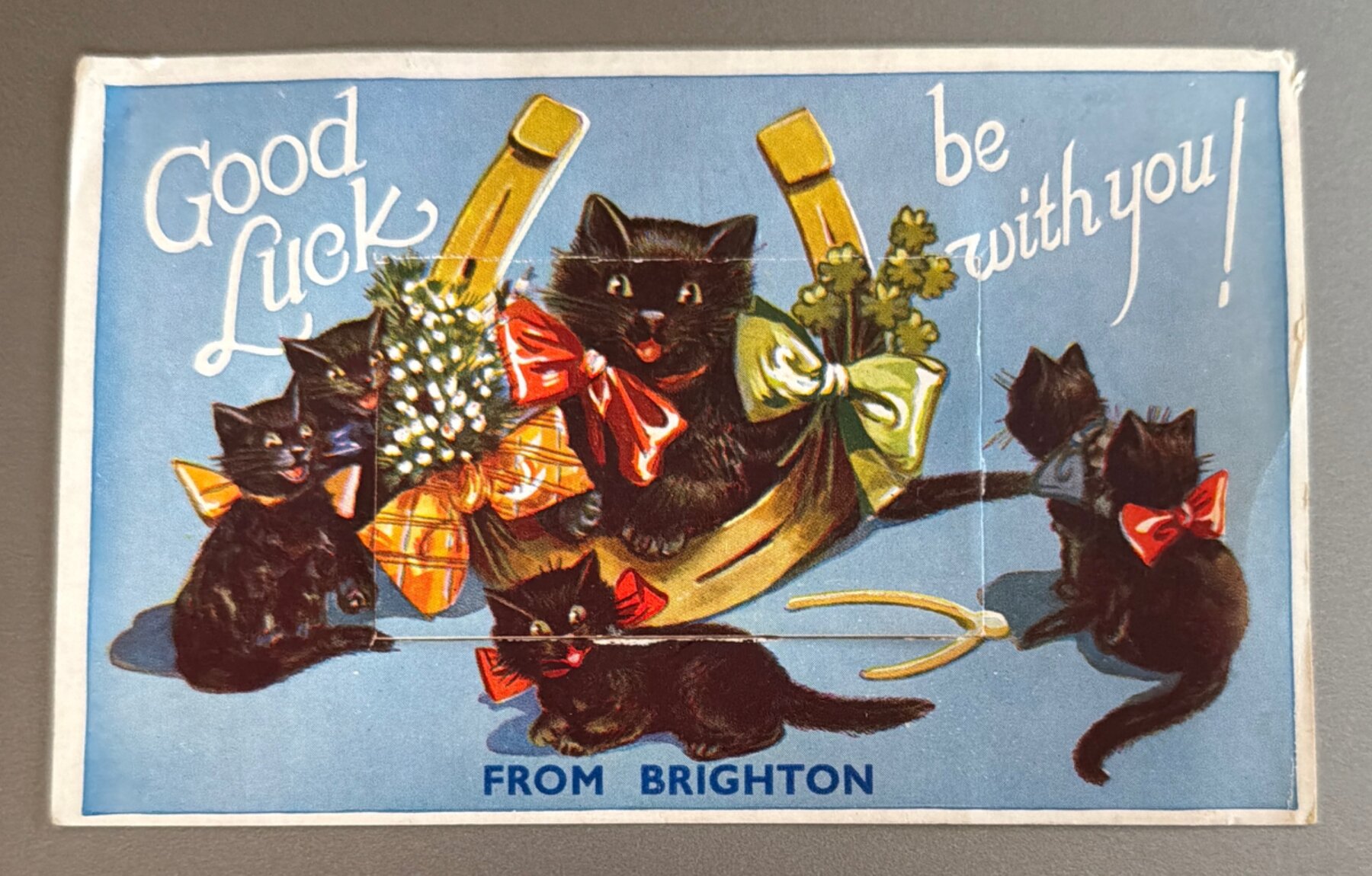 Postcard Brighton Good Luck Black Cats Novelty Pull-Out Souvenir Views GB