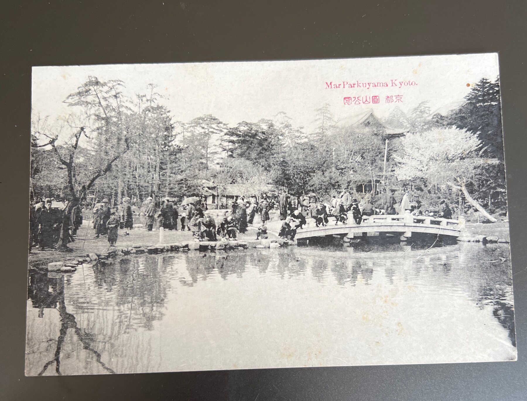 Maruyama Park Cherry Blossom Hanami Kyoto Japan Postcard 1910