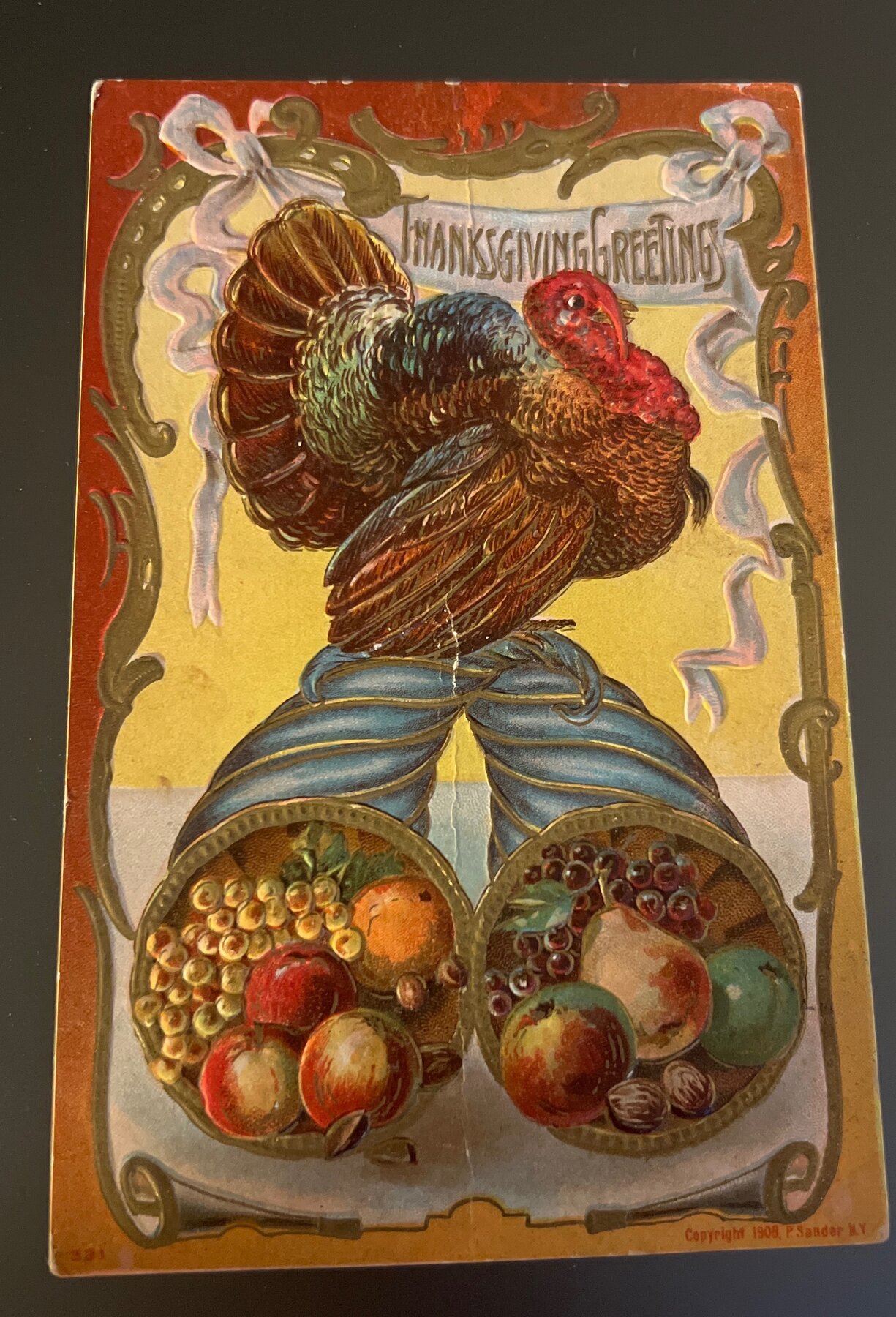 Postcard 1908 Thanksgiving Greetings Embossed Turkey Cornucopia F.Sander NY
