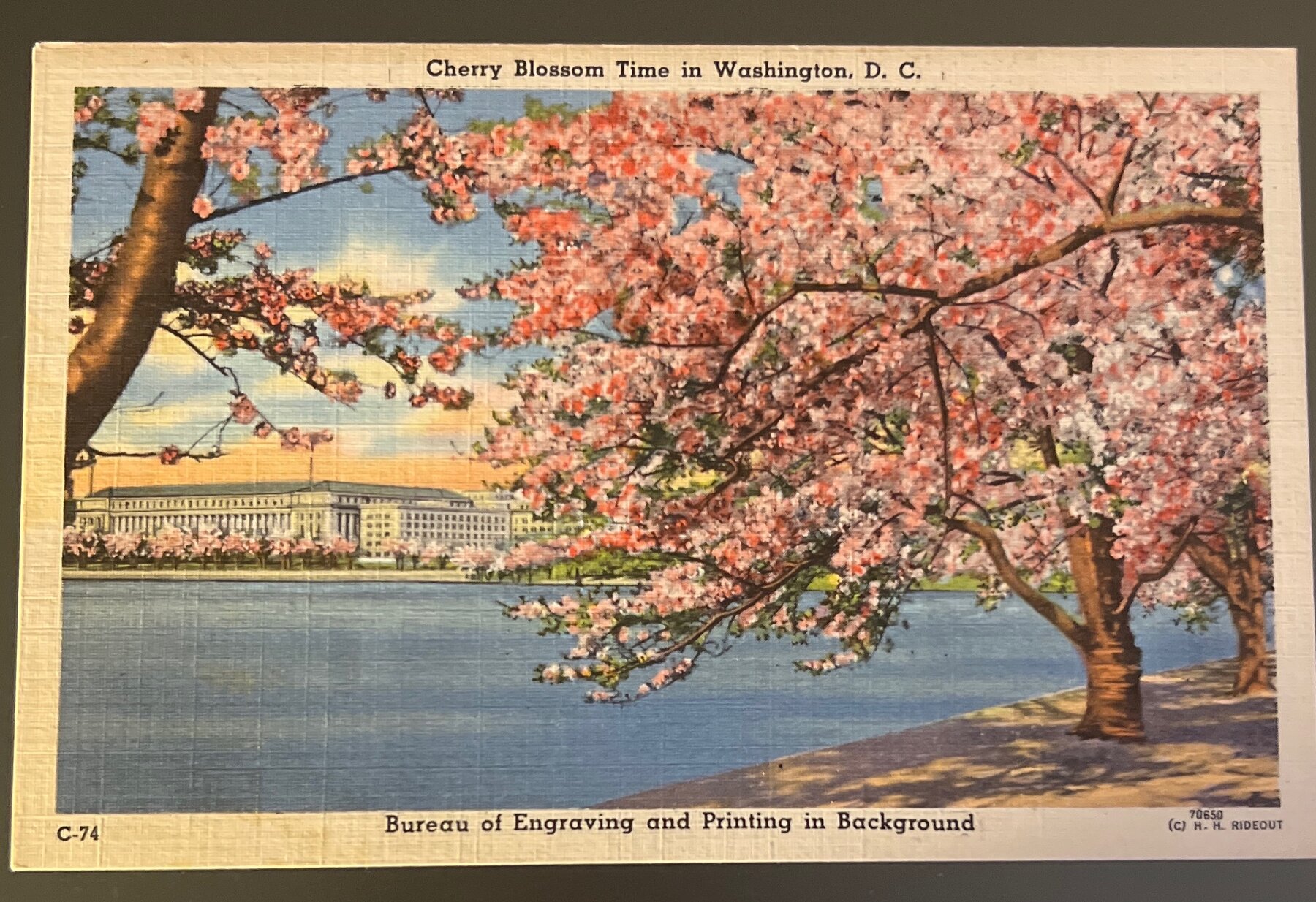 Postcard Linen Cherry Blossom Time Washington DC Bureau Engraving 1940s