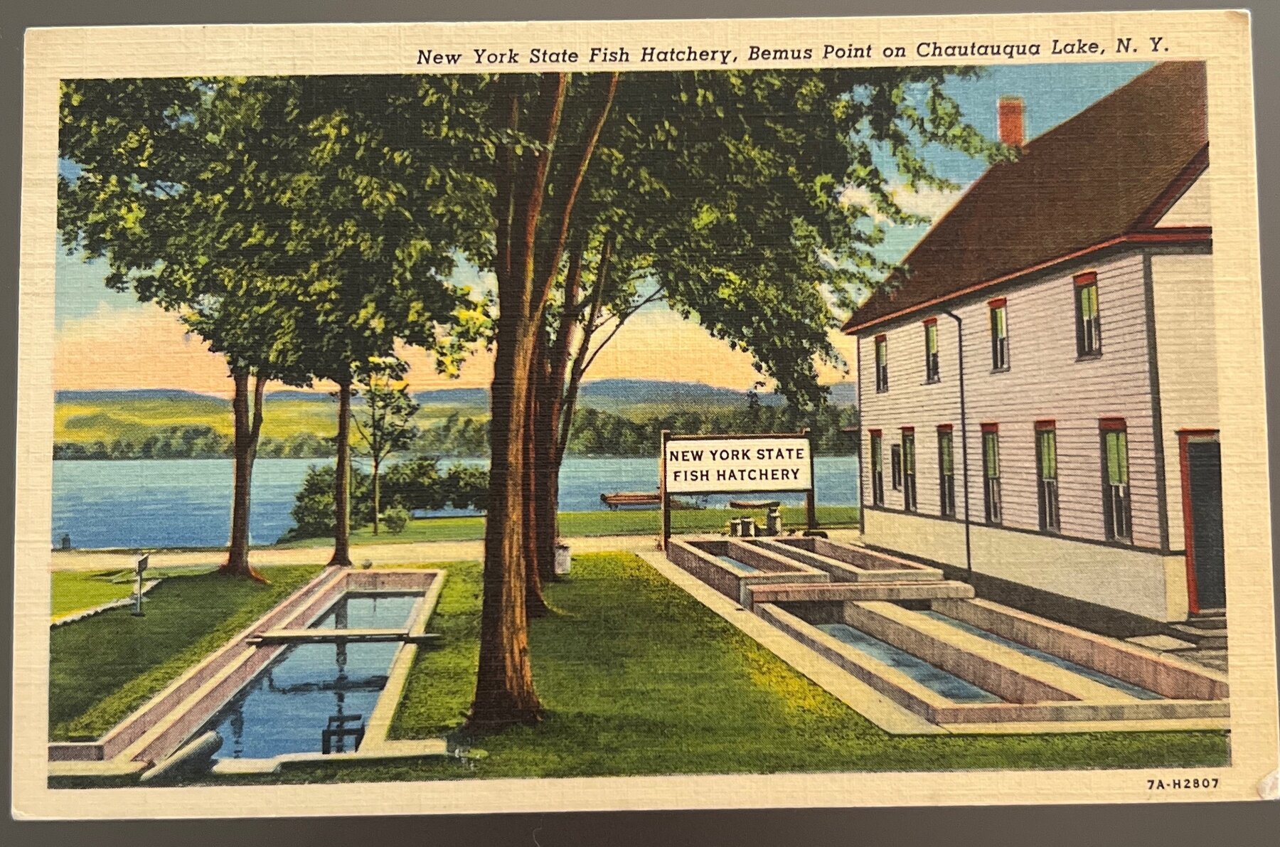 Postcard 1938 Linen NY State Fish Hatchery Bemus Point Chautauqua Lake NY