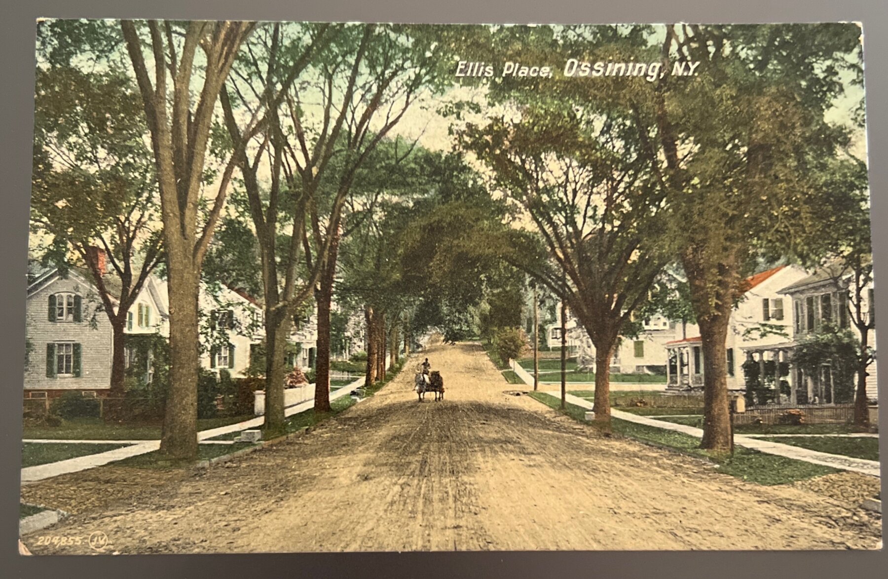 Postcard 1909 Ellis Place Ossining NY Tree-Lined Street Horse Carriage View