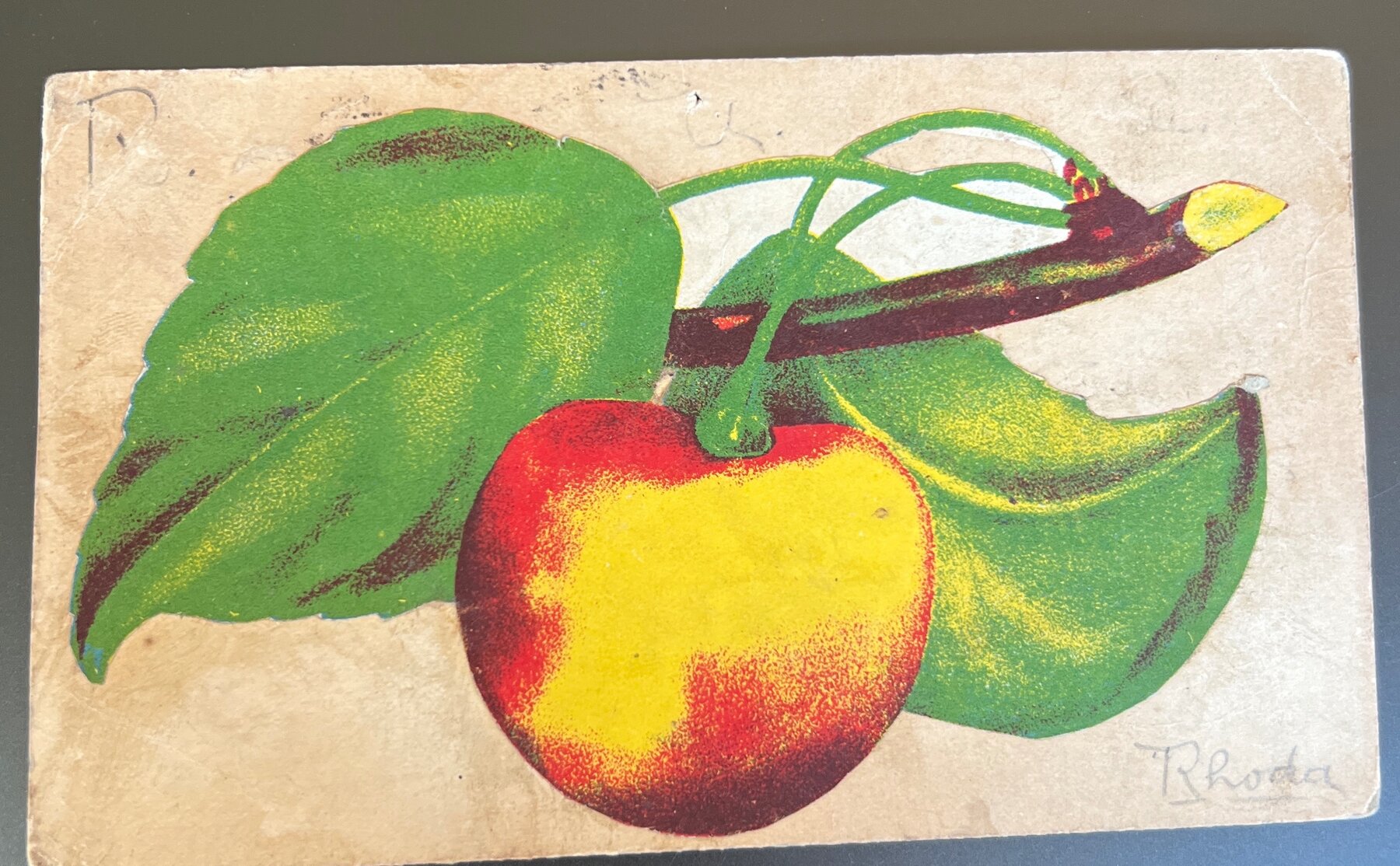 Postcard 1907 Embossed Apple Fruit Novelty Card Posted Brewerton NY Estella