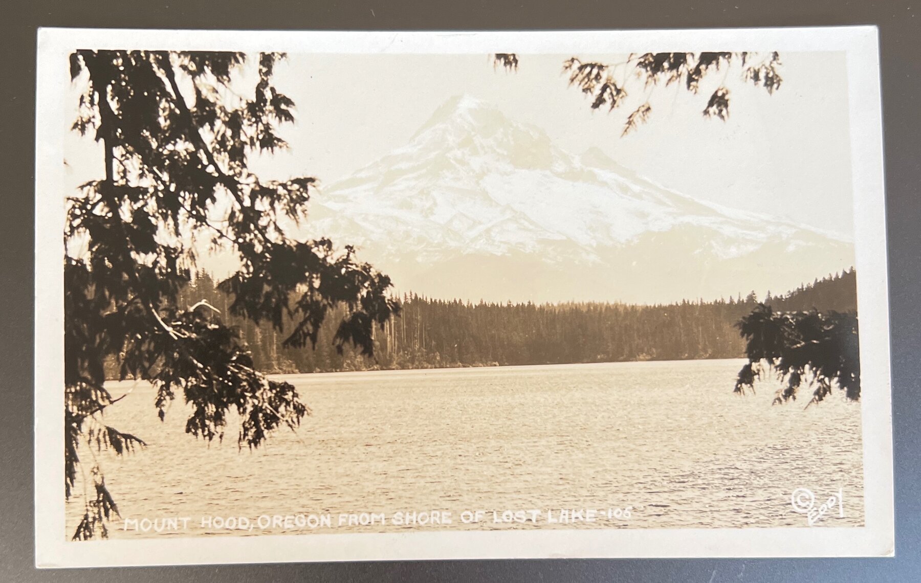 Postcard 1940s Mount Hood Oregon Lost Lake Shore RPPC Scenic Unused