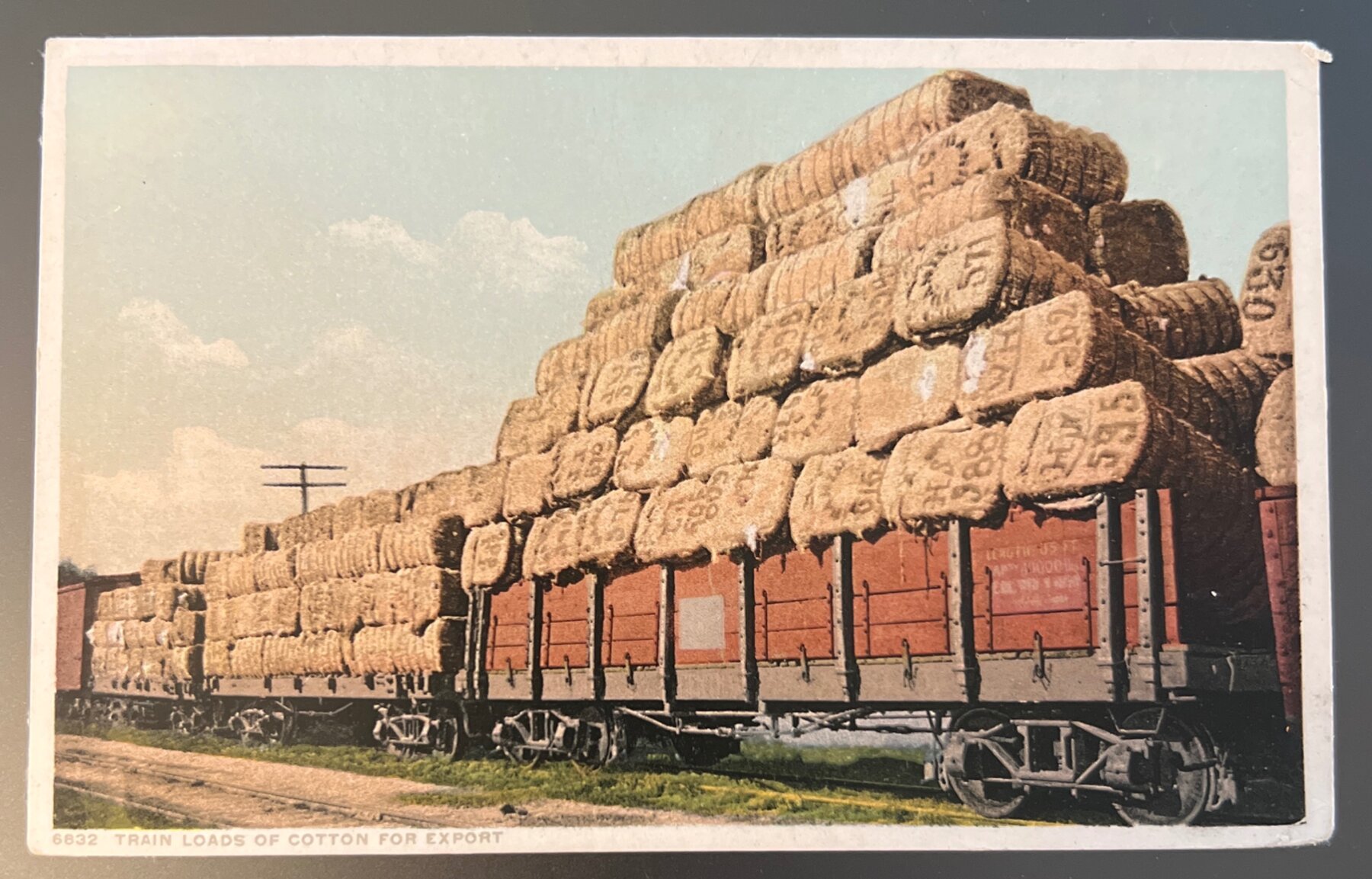 Phostint Postcard 1910s Train Loads Cotton Export Detroit Publishing Linen Era