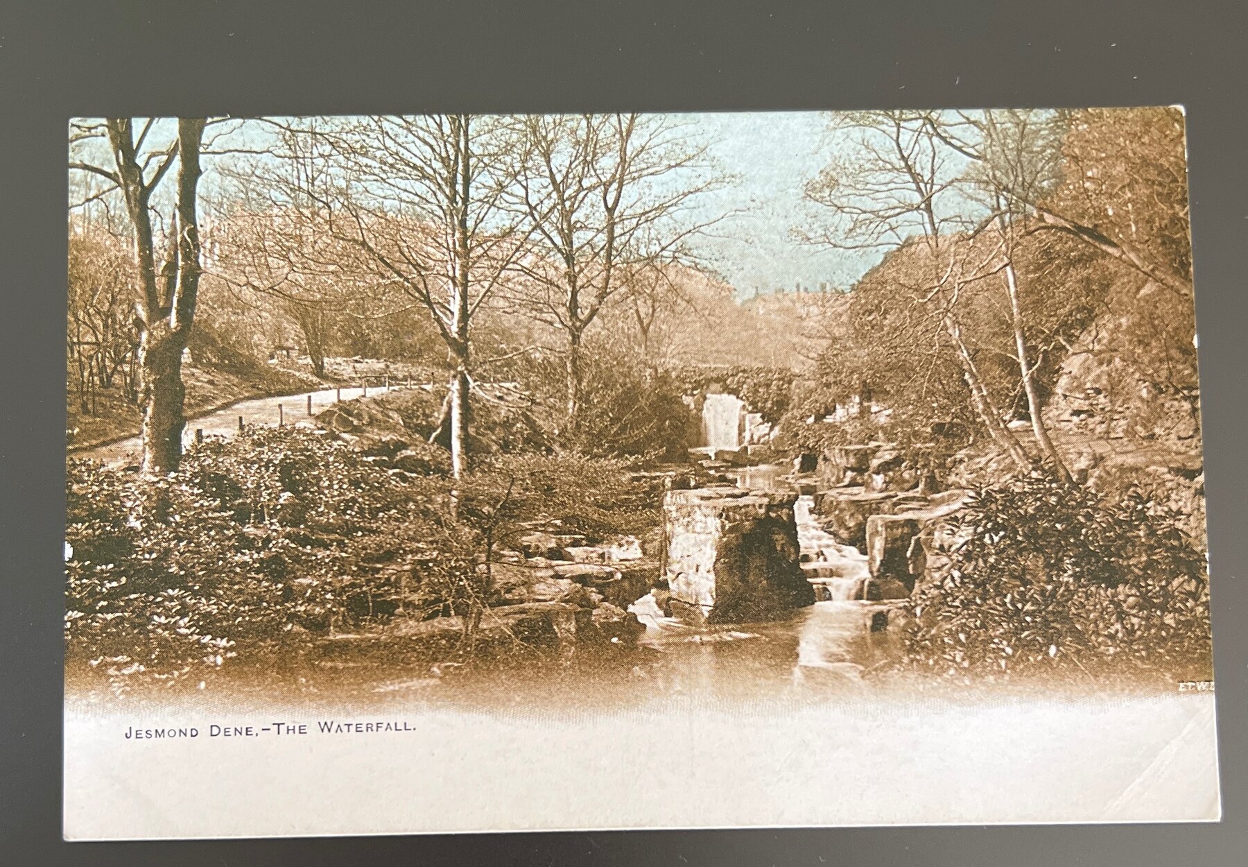 Postcard 1902 Jesmond Dene Waterfall Newcastle England UK Undivided Back