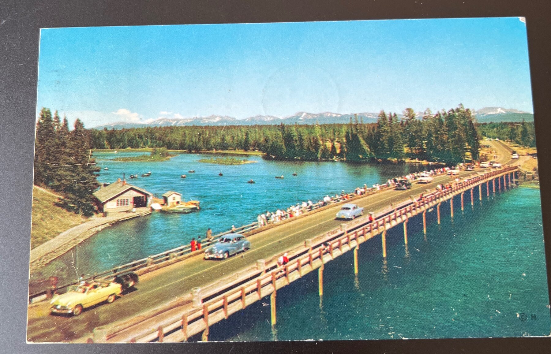 Postcard 1951 Fishing Bridge Yellowstone Lake National Park Chrome Wyoming