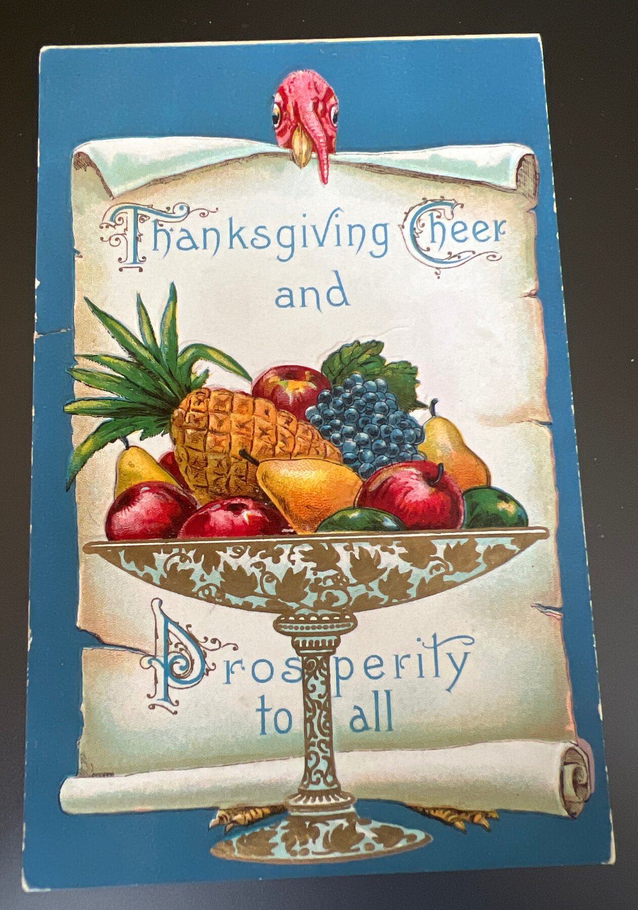 Thanksgiving Cheer Prosperity Fruit Compote Turkey Embossed Postcard 1910
