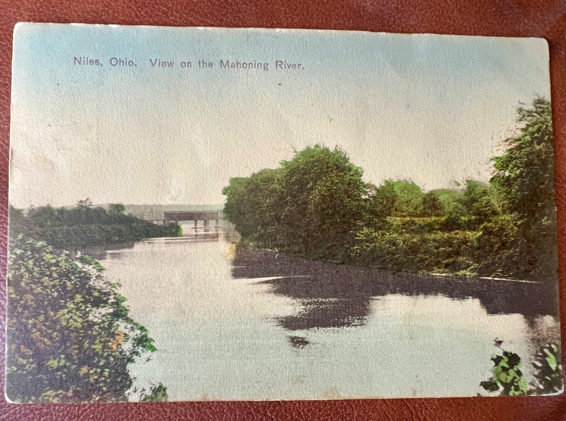 Niles Ohio View on the Mahoning River Metropolitan News Postcard 1908