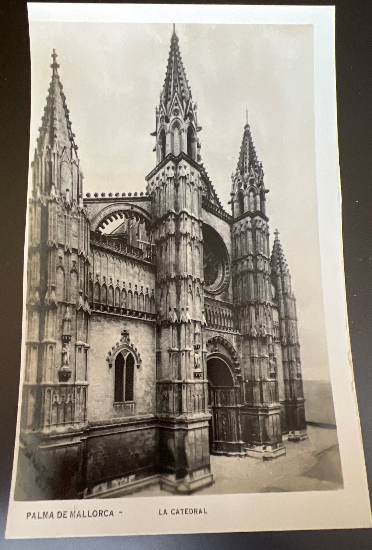 Palma de Mallorca La Catedral Gothic Cathedral Spain Postcard 1930s
