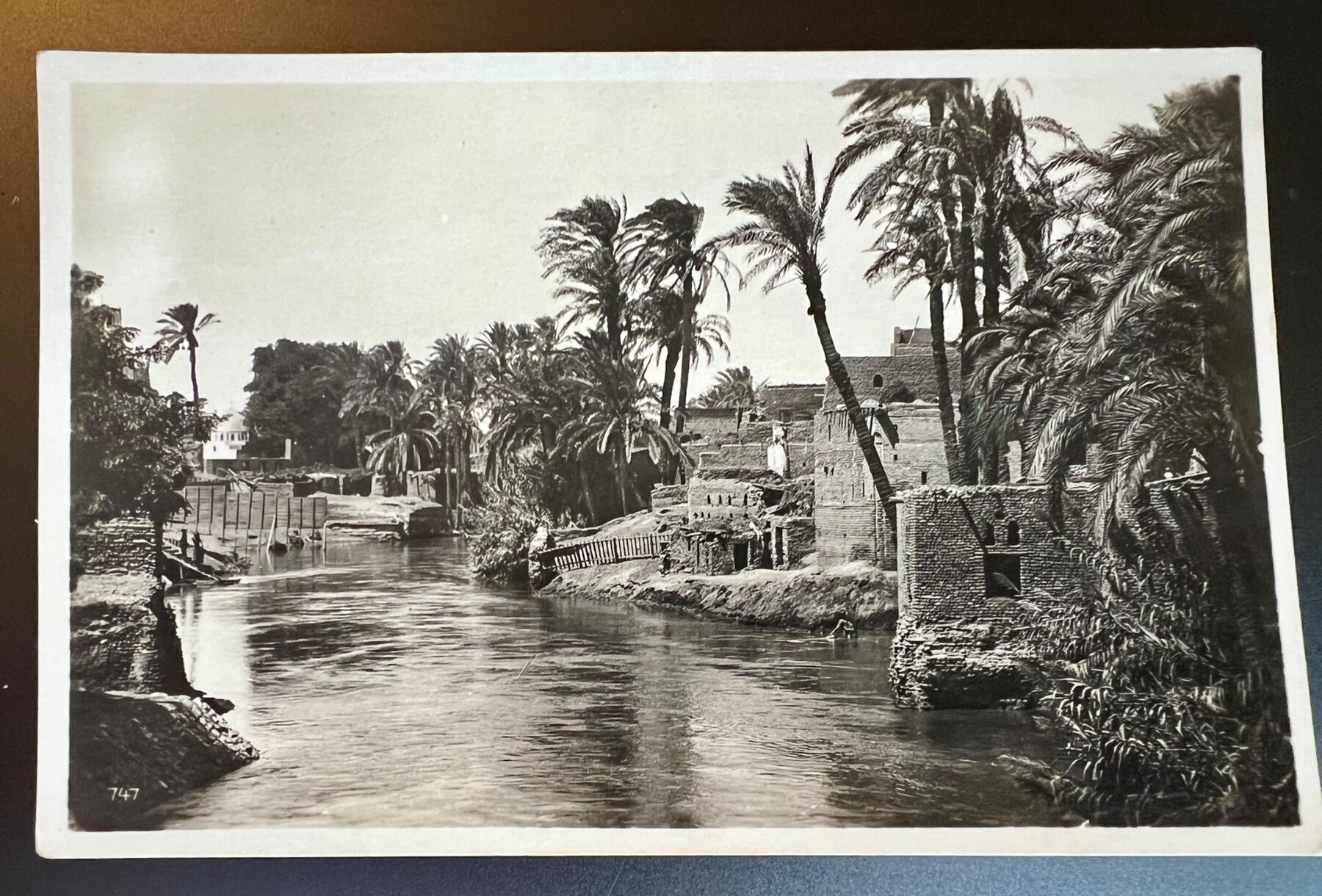 Egypt Am Nil On the Nile Canal Village Palm Trees Postcard c1910