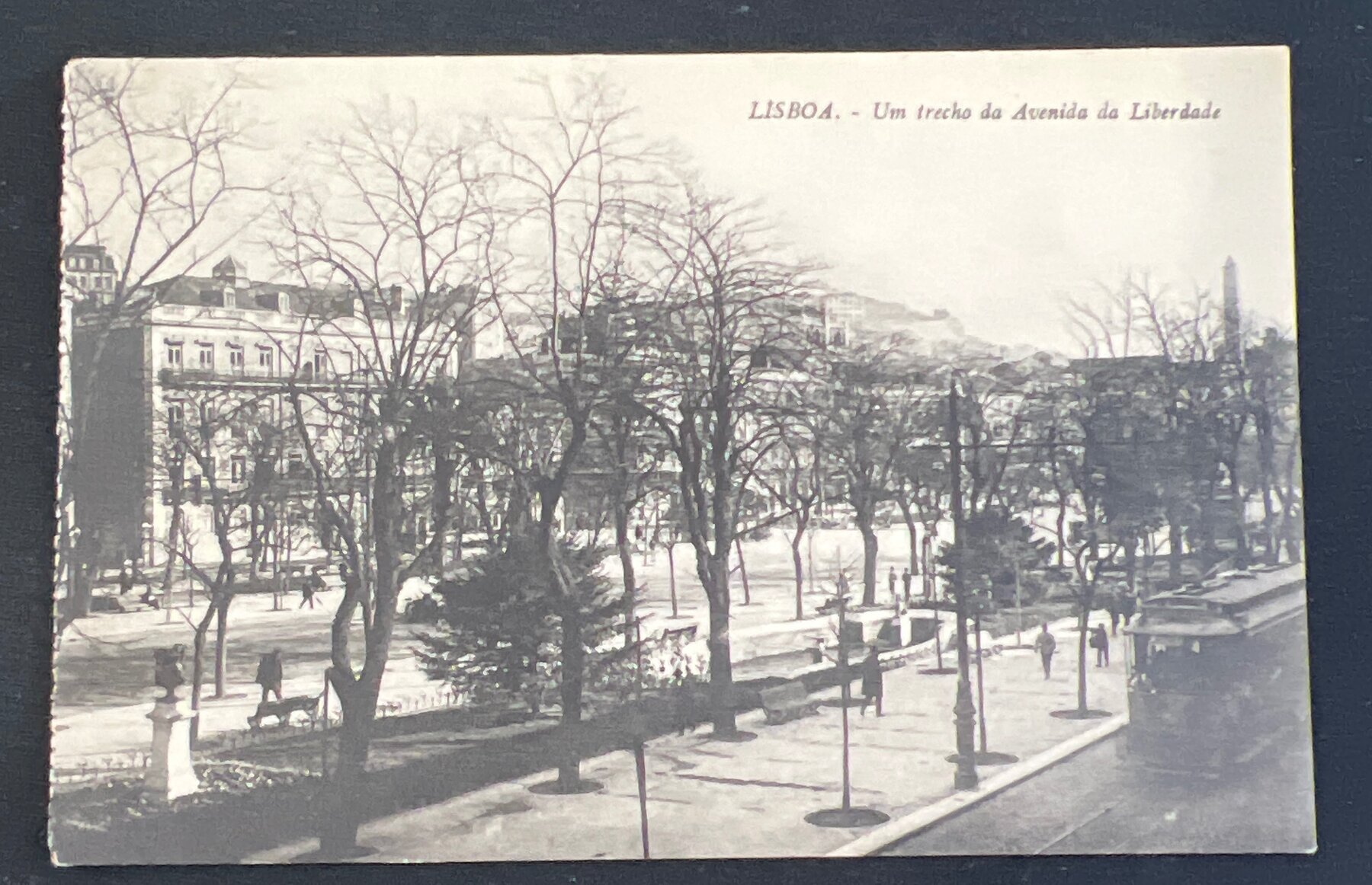 Lisboa Avenida da Liberdade Lisbon Portugal Postcard c1912