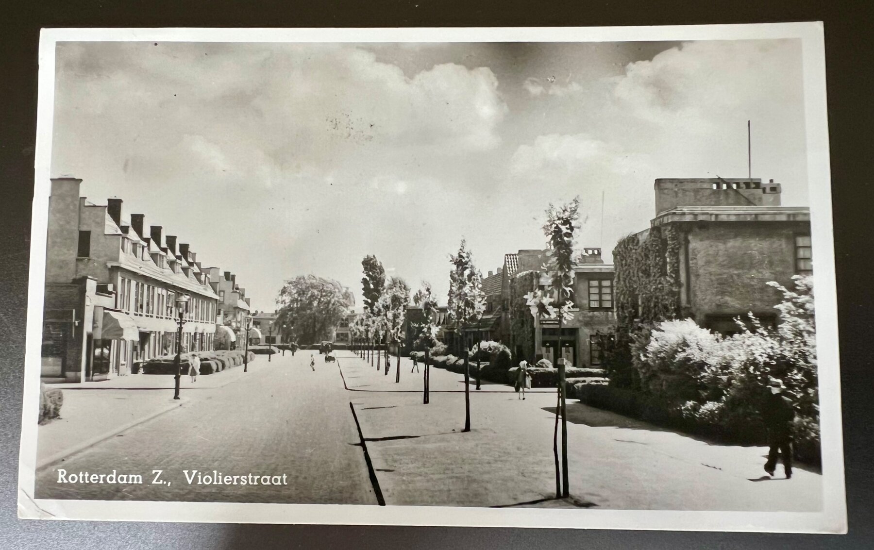 Rotterdam Zuid Violierstraat Netherlands Street Scene Postcard 1949