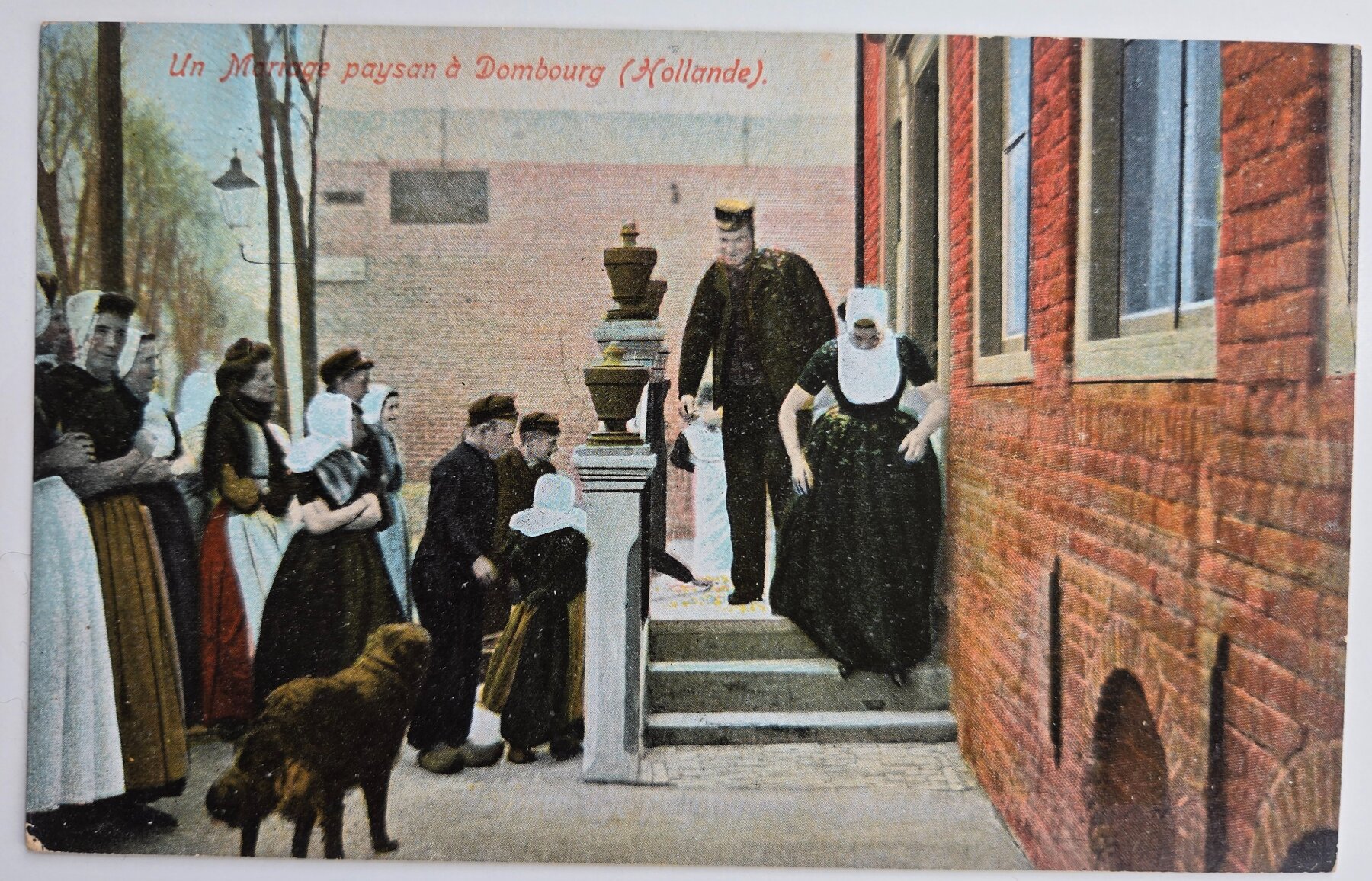 Dombourg Holland Peasant Wedding Dutch Costume Advertising Postcard 1905