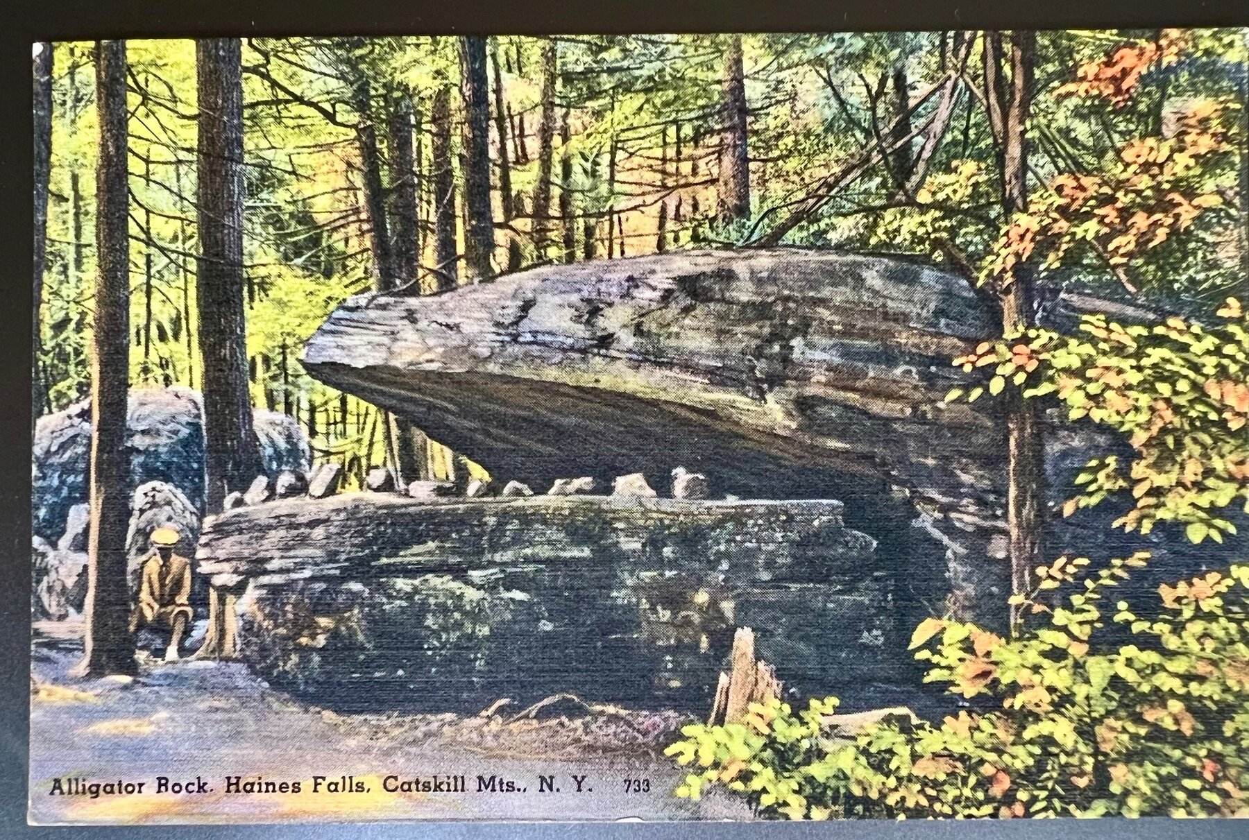 Alligator Rock Haines Falls Catskill Mountains NY Postcard 1939