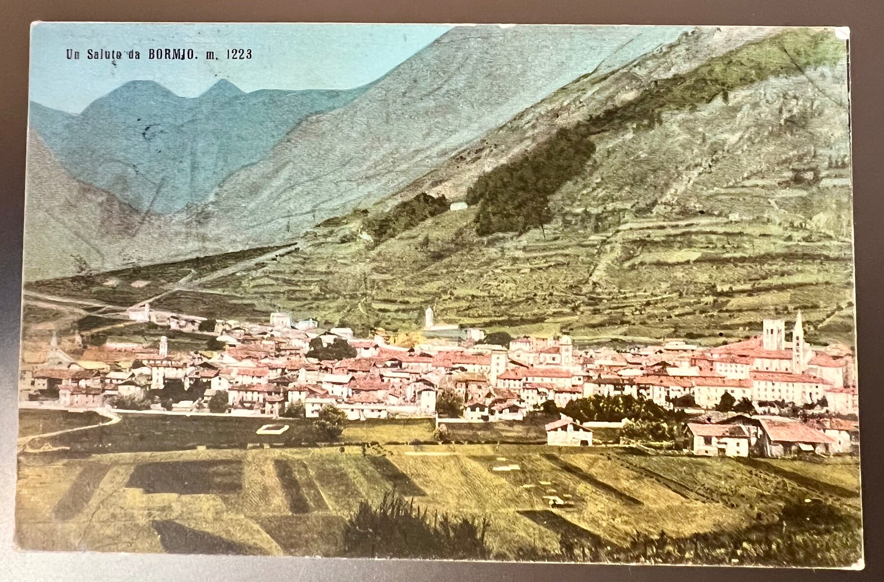 Bormio Italy Alpine Town Panorama Postcard 1912 Dual Austria Italian Stamps