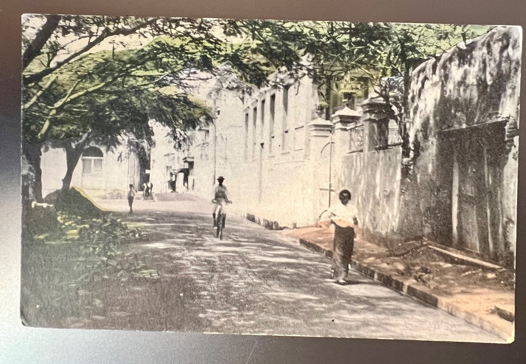 San Francisco Park Panama Tropical Street Scene Postcard c1910