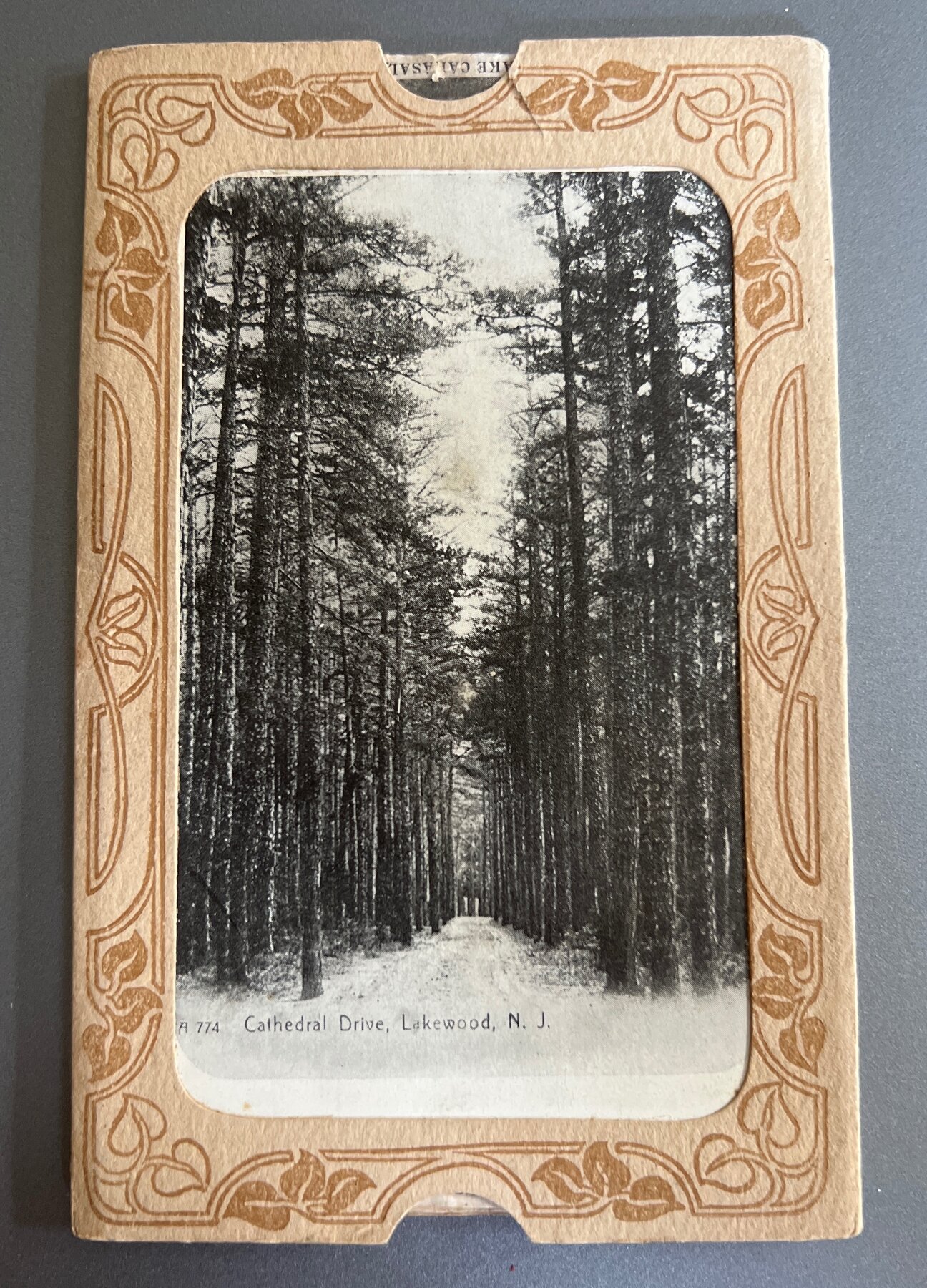 Postcard c1905 Lakewood NJ Cathedral Drive Pull-Out Souvenir Mail Card UDB