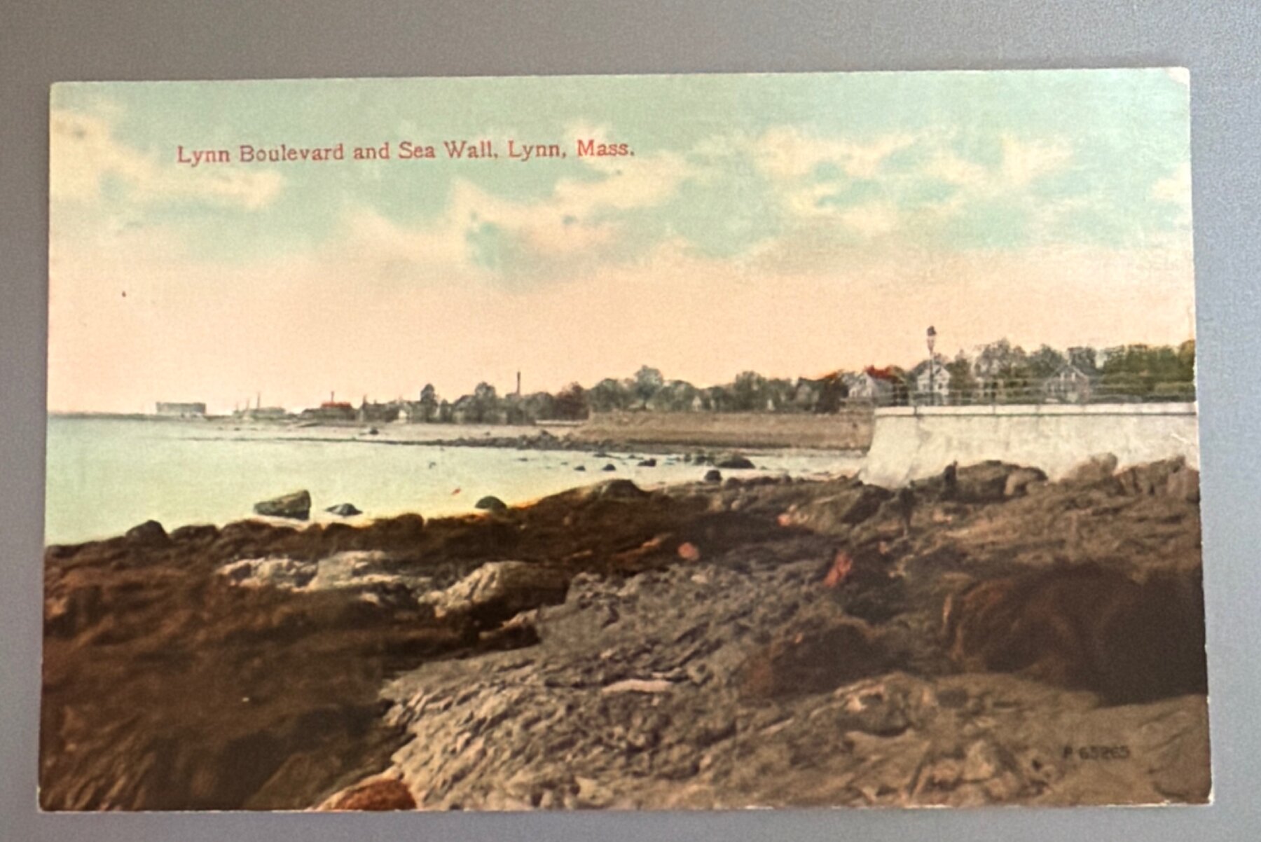 Postcard 1910s Lynn Boulevard Sea Wall Lynn Massachusetts Tinted Litho