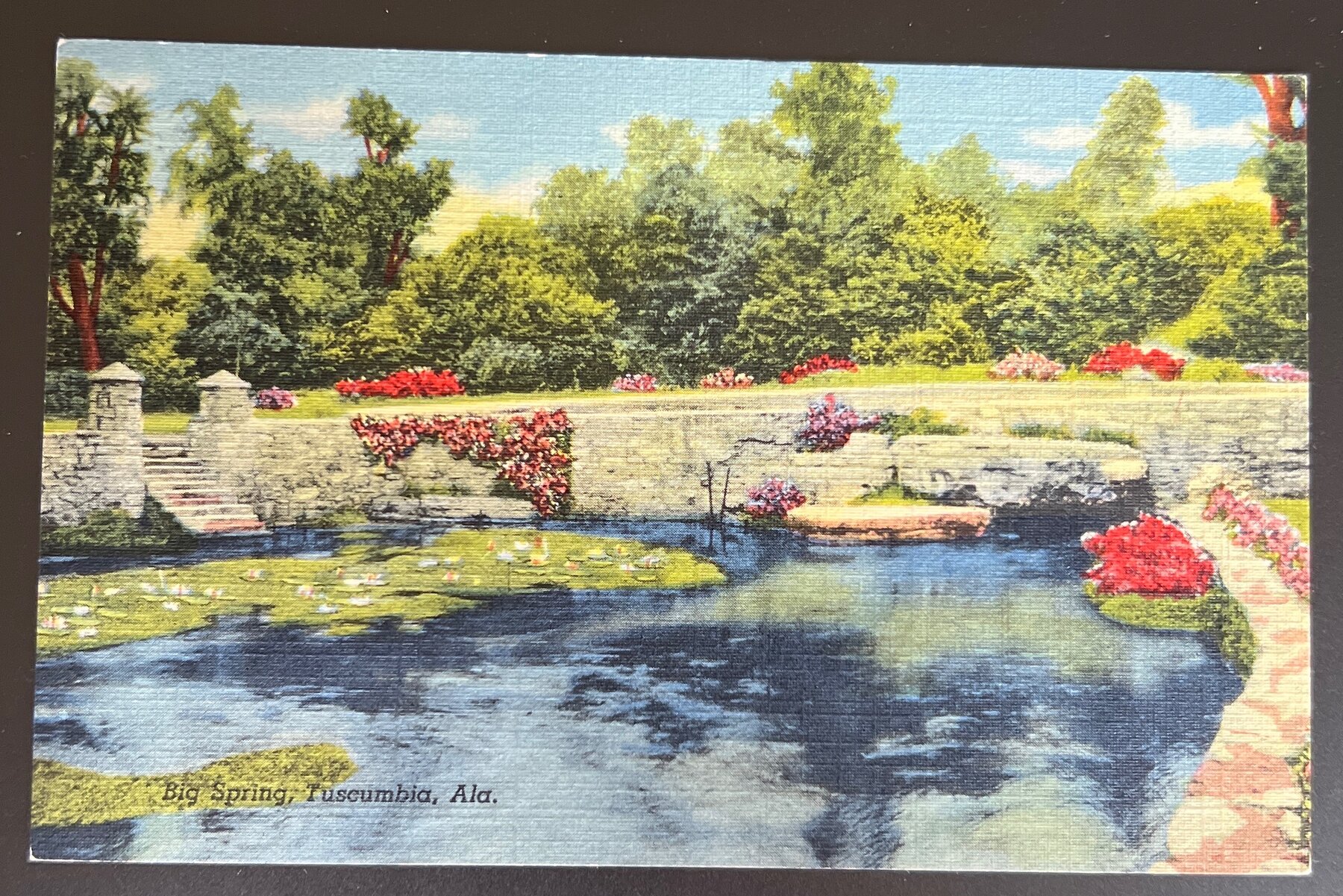 Postcard Big Spring Tuscumbia Alabama Linen c1940 Curteich Unused