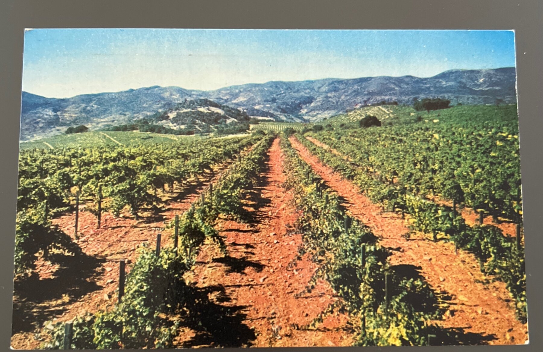 Postcard 1976 Louis M Martini Winery Napa Sonoma Vineyard Monte Rosso Chrome