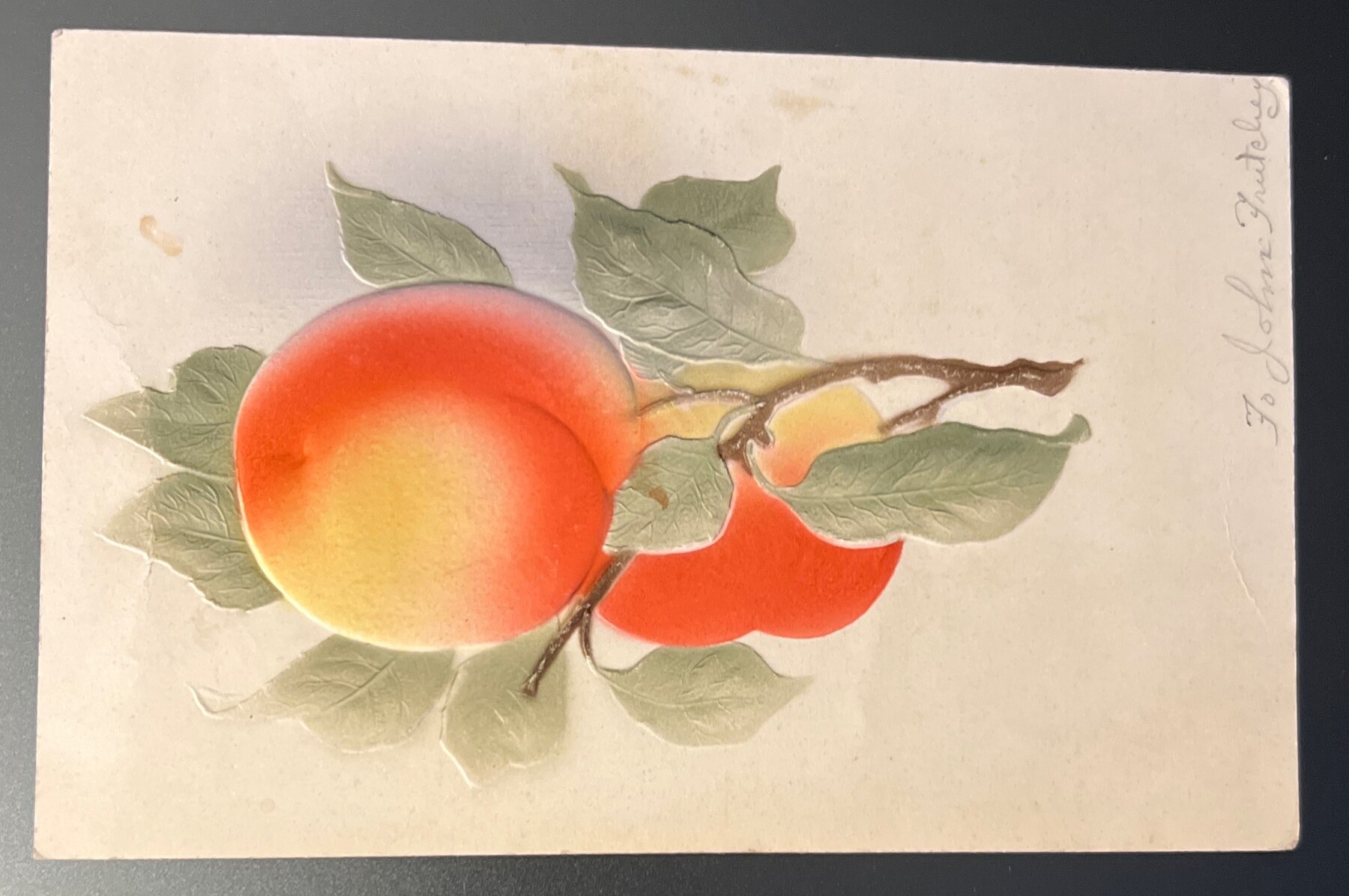 Postcard 1909 Embossed Peaches Fruit Branch to John Easton PA PMK