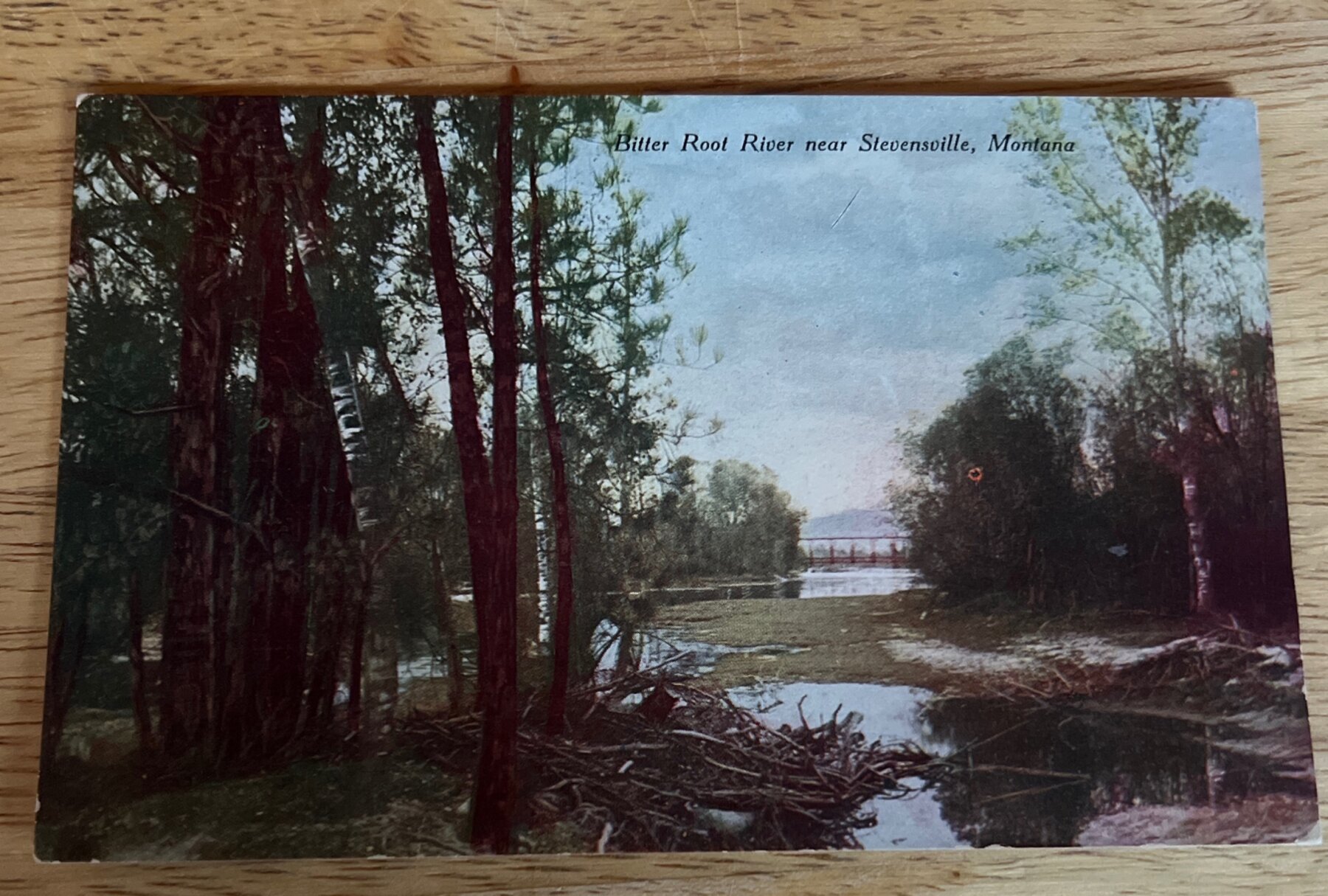 Postcard c1910 Bitter Root River Stevensville Montana Hand-Colored Pre-Linen