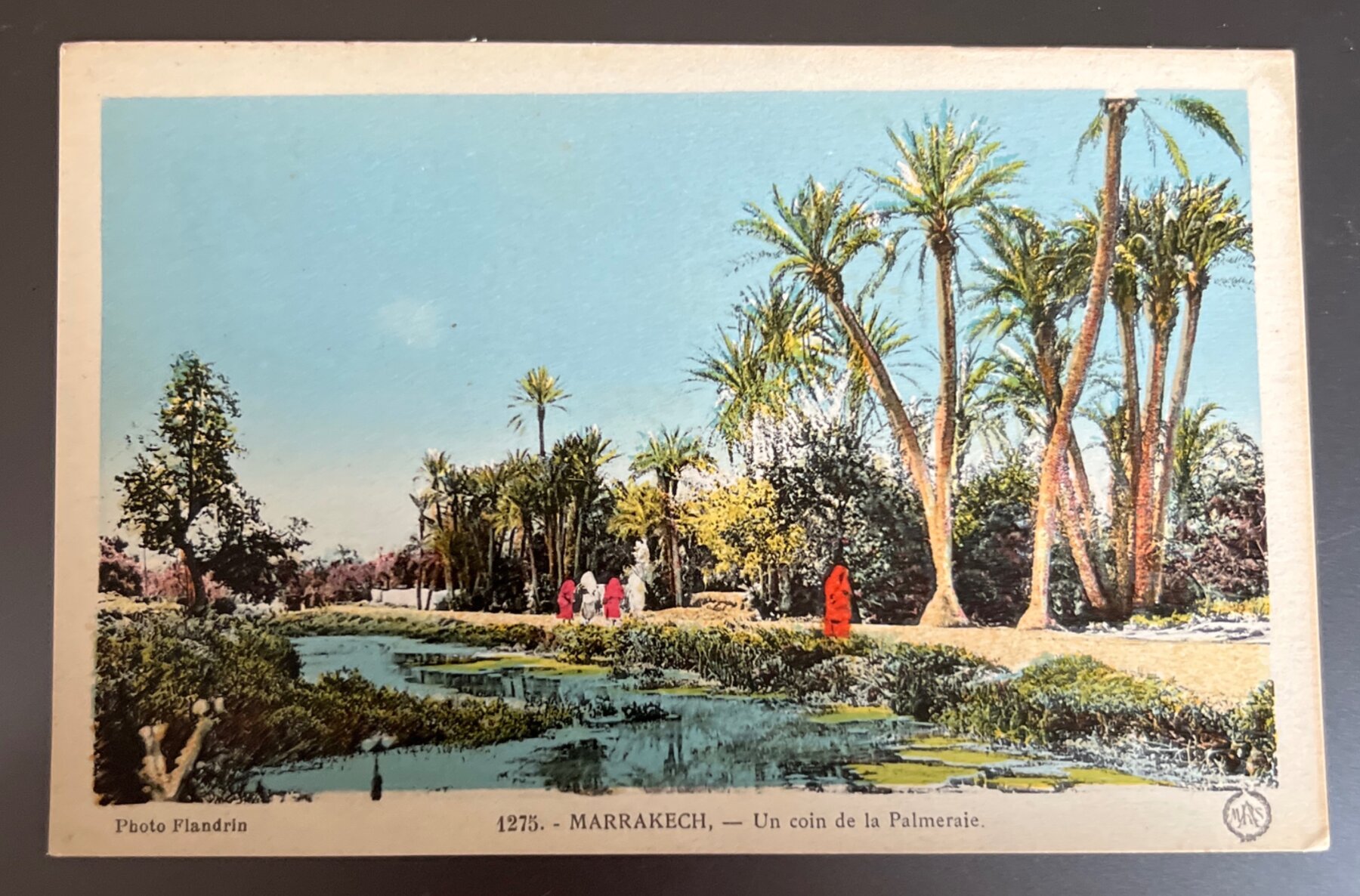Postcard 1930s Marrakech Morocco Palmeraie Palm Grove Flandrin Unused