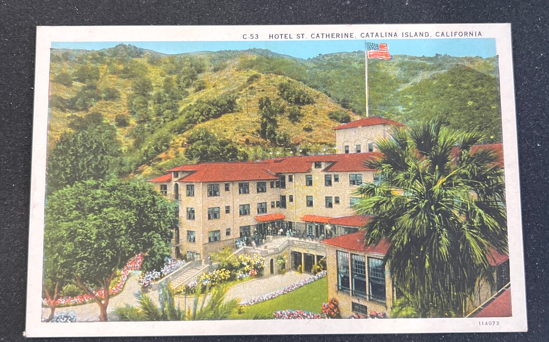 Linen Hotel St Catherine Catalina Island California Postcard c1925
