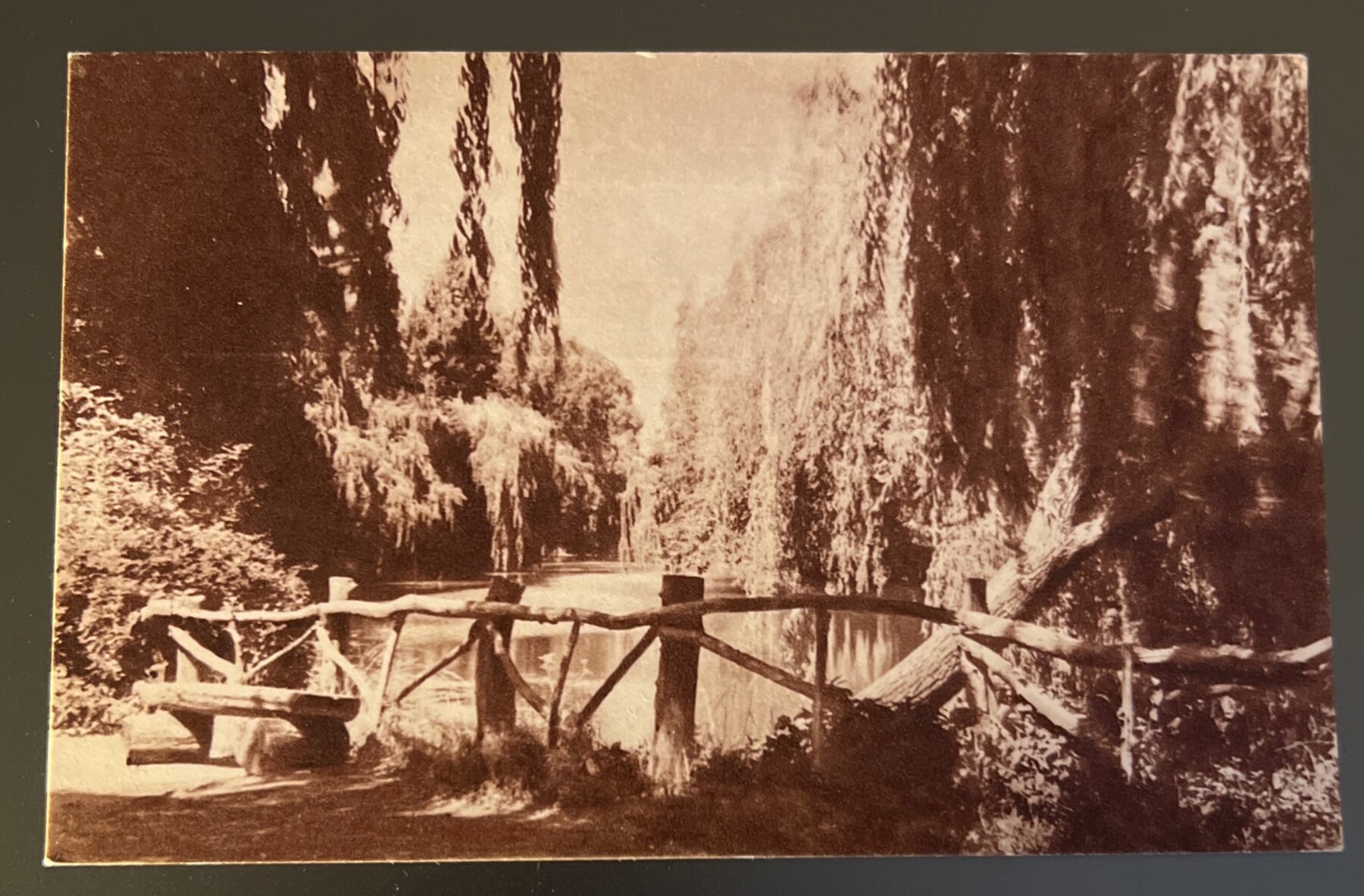Postcard 1905 Azul Argentina Parque Municipal Stream View La Sudamericana