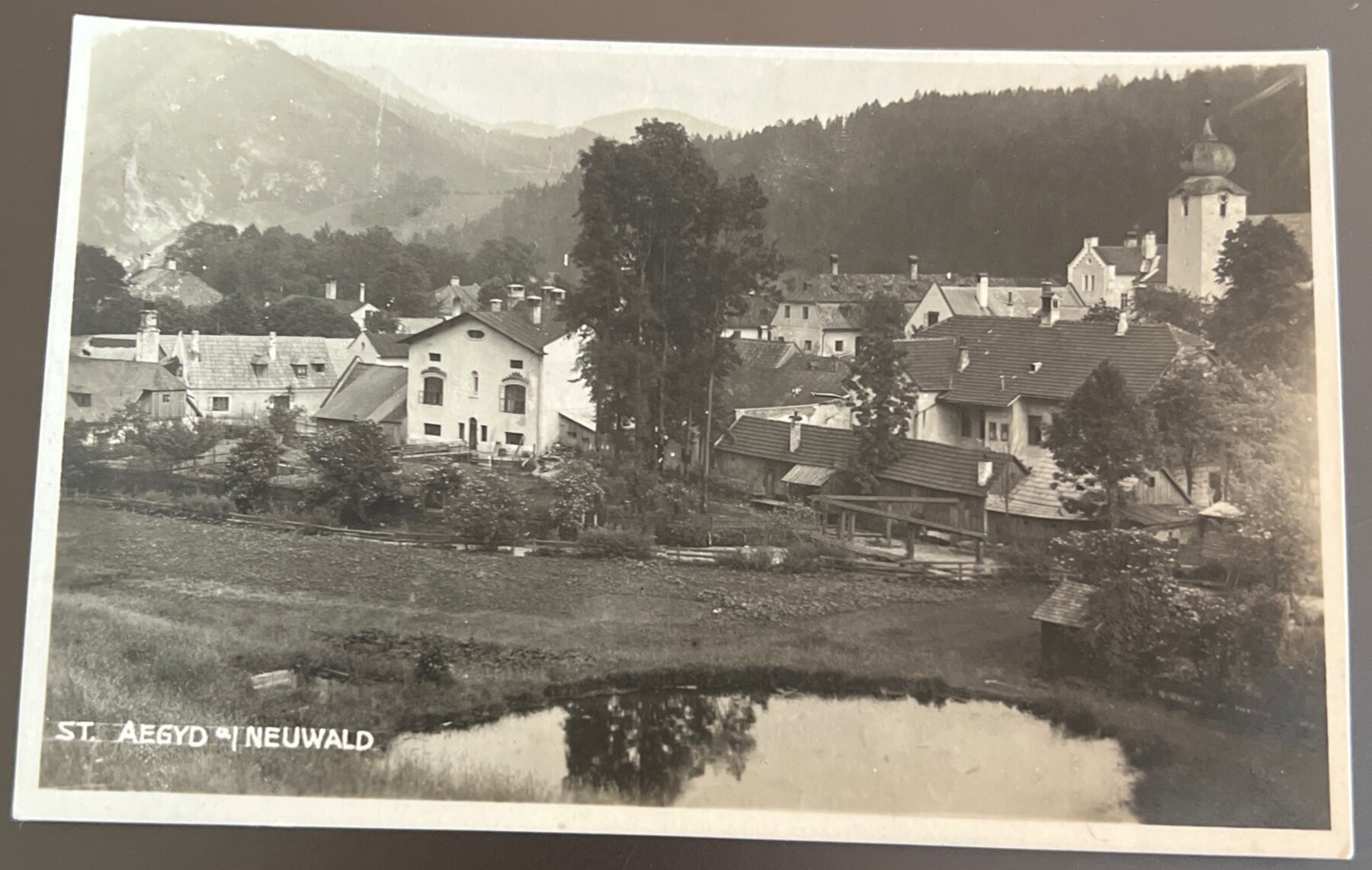 Postcard 1930s St. Aegyd am Neuwald Village Austria RPPC Niederösterreich