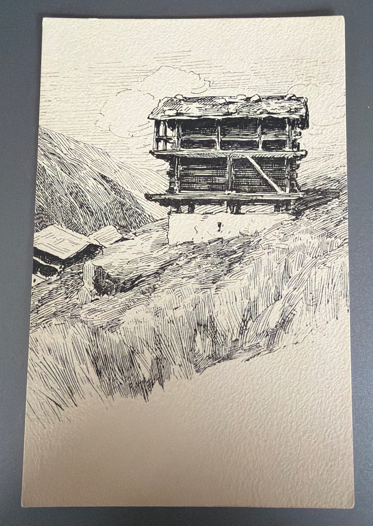Postcard Swiss Alpine Granary Hay Barn Ink Drawing Vouga Genève No.213a c1900