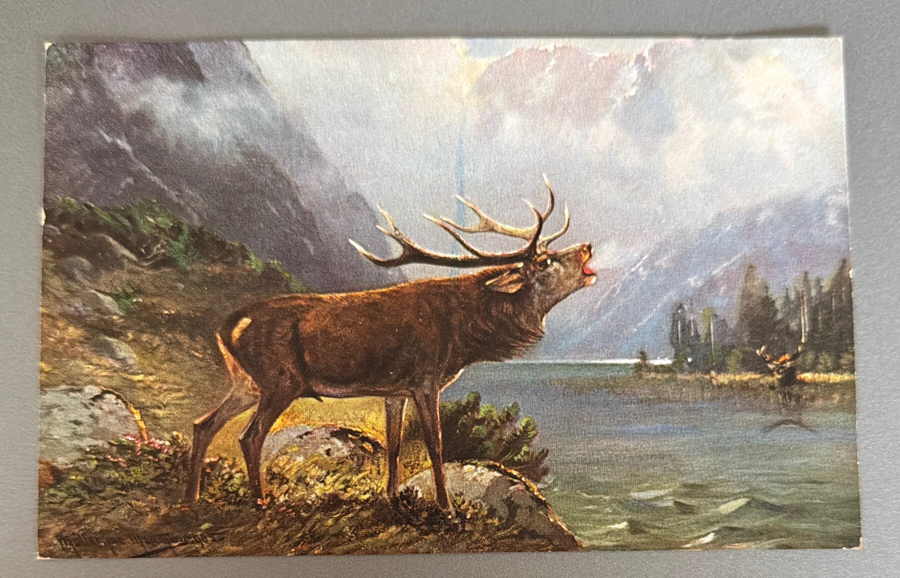 Postcard 1905s Roaring Stag Mountain Lake Scene HKM Series 350 Art Card