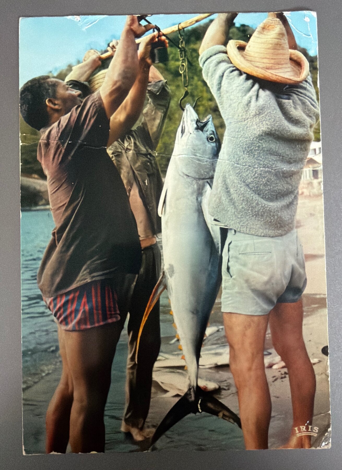 Postcard 1973 Barbados Caribbean Fishing Scene Vintage Chrome Used