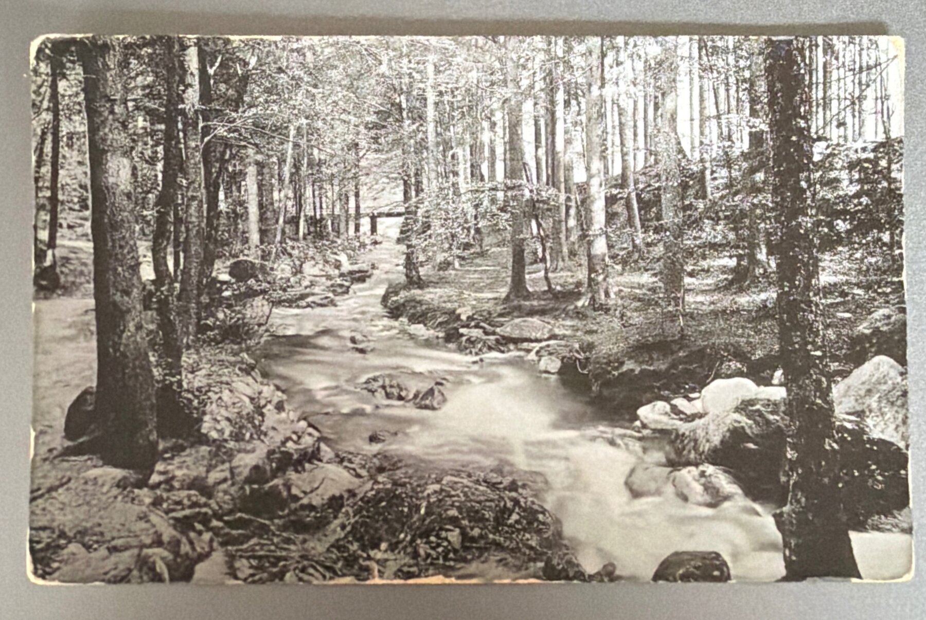 Postcard c.1908 Austria RPPC Forest Stream Real Photo Roudnice Czech
