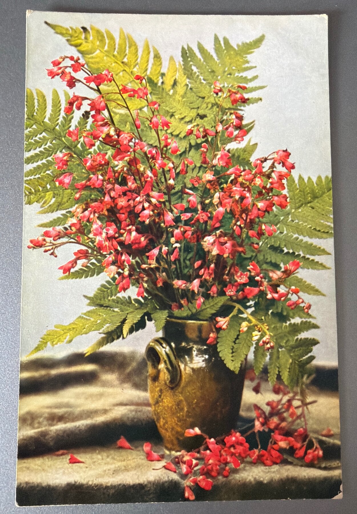 Postcard 1900s Flora Series Heuchera Fern Bouquet Römmler & Jonas Dresden