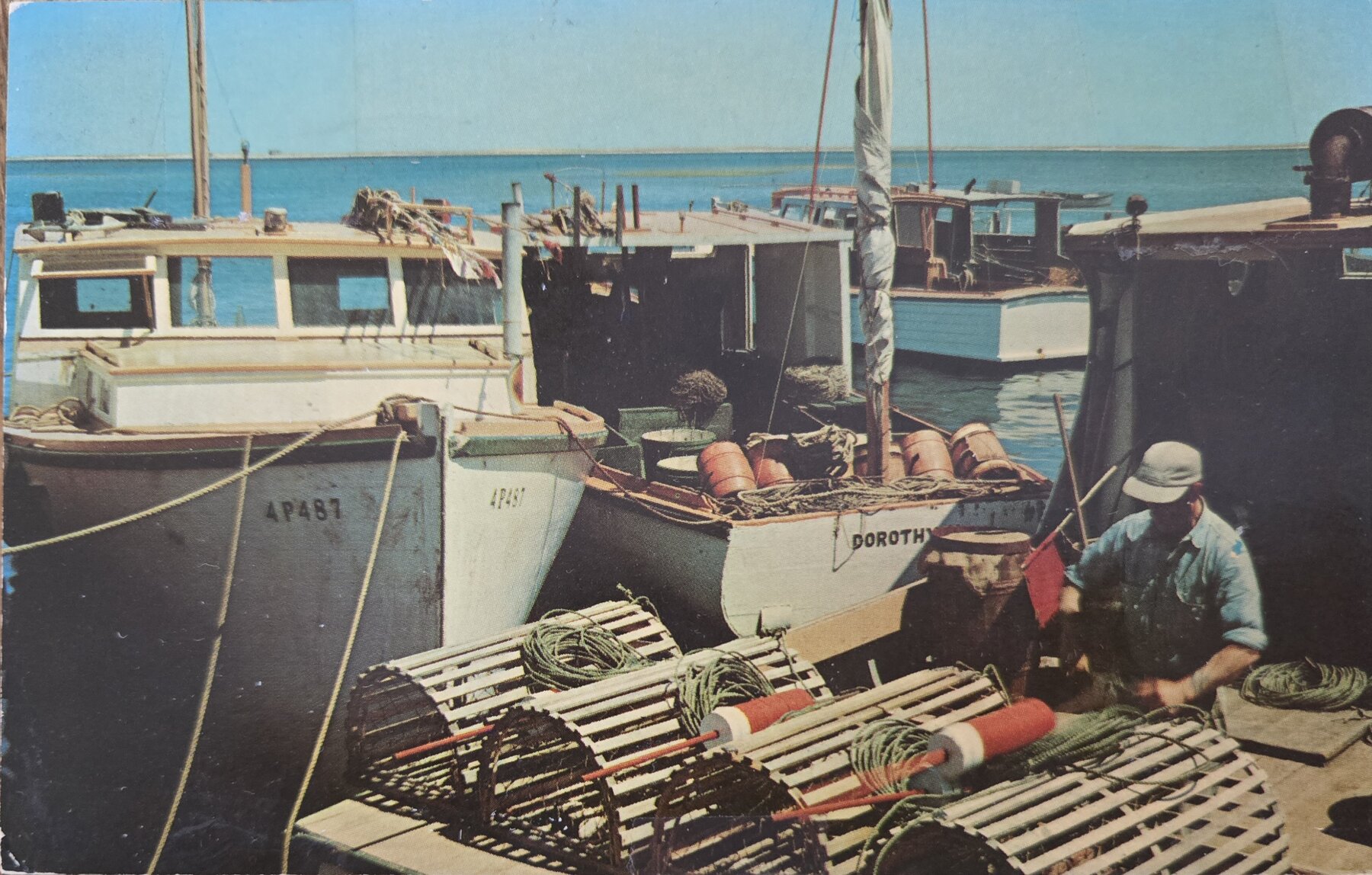 Cape Cod Lobsterman Baiting Traps Massachusetts Postcard 1964