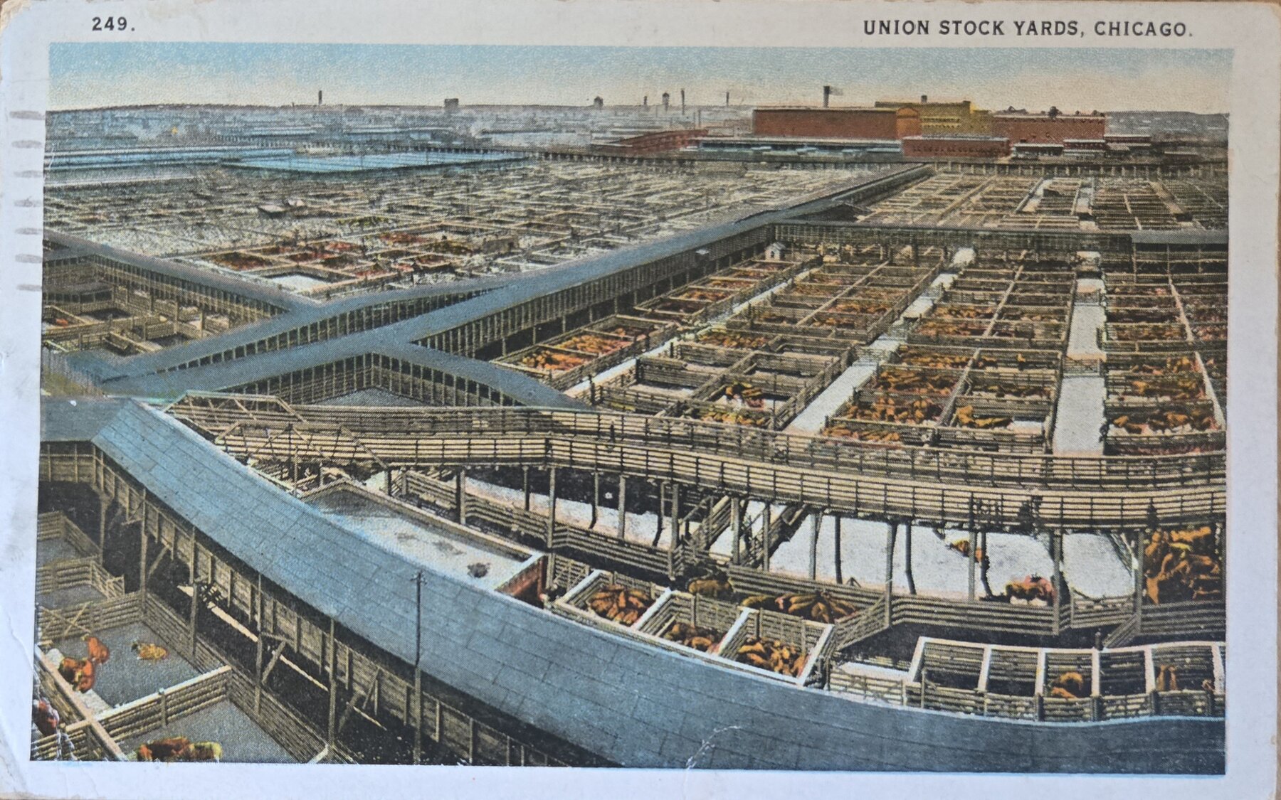 Union Stock Yards Chicago Illinois Postcard 1925
