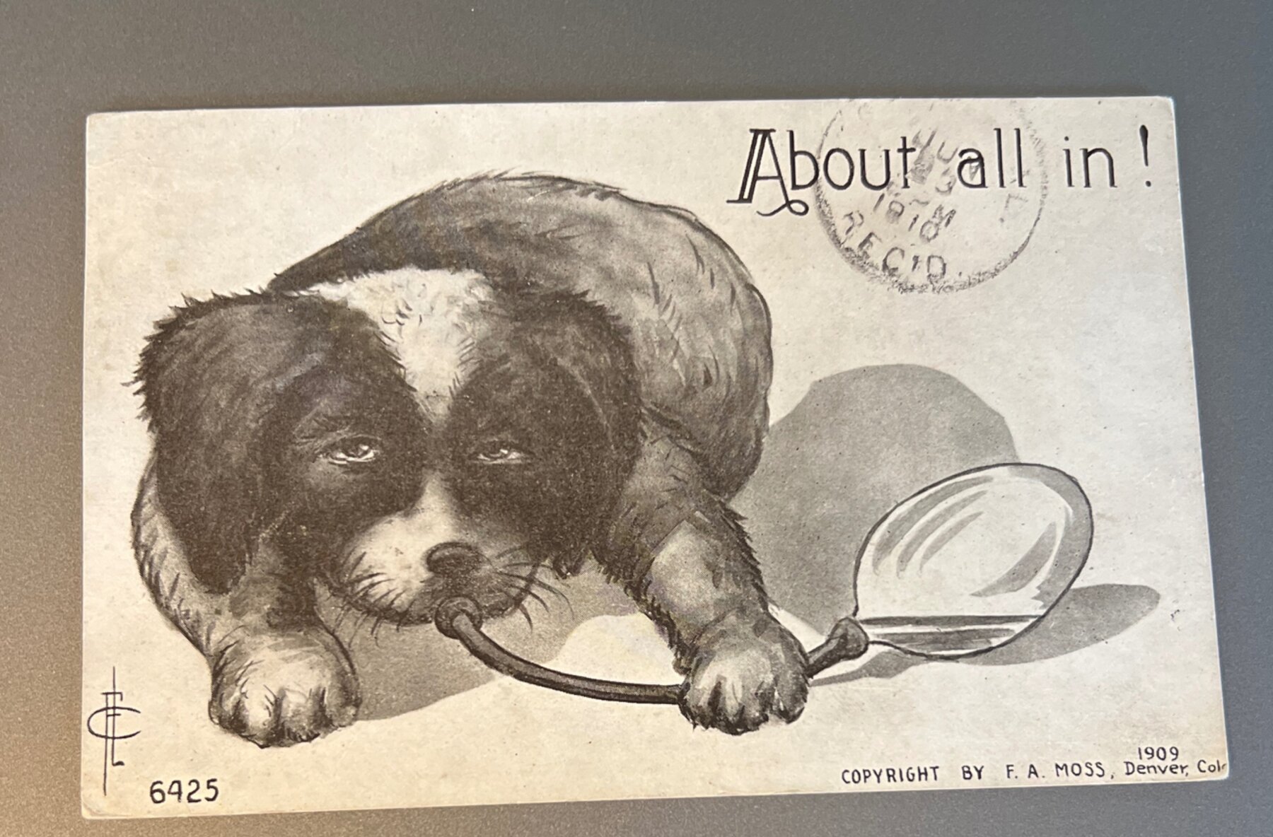 Postcard 1910 Novelty Dog Puppy "About All In" F.A. Moss Denver Colorado