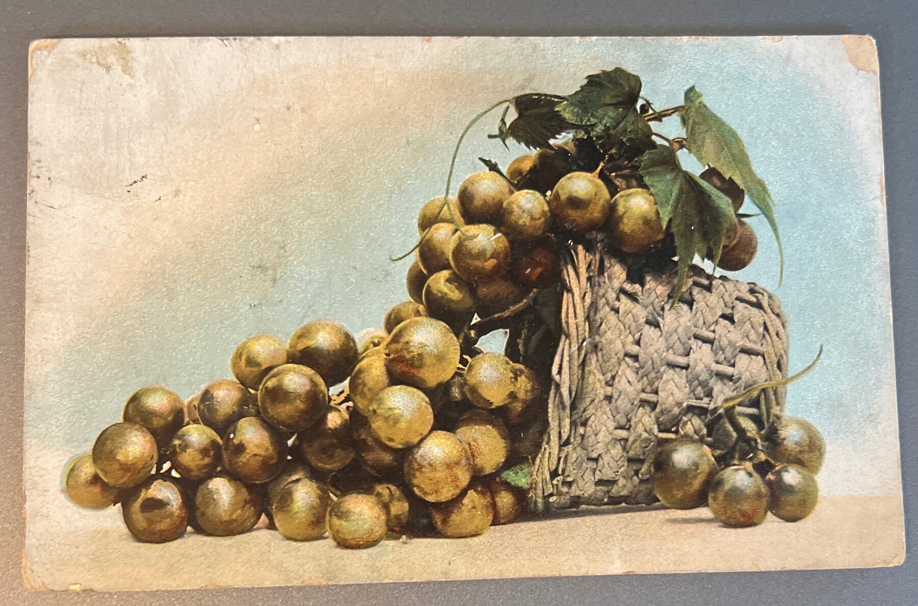 Postcard 1908 Grapes Still Life Beckett Ohio Sent to Carroll Cleveland
