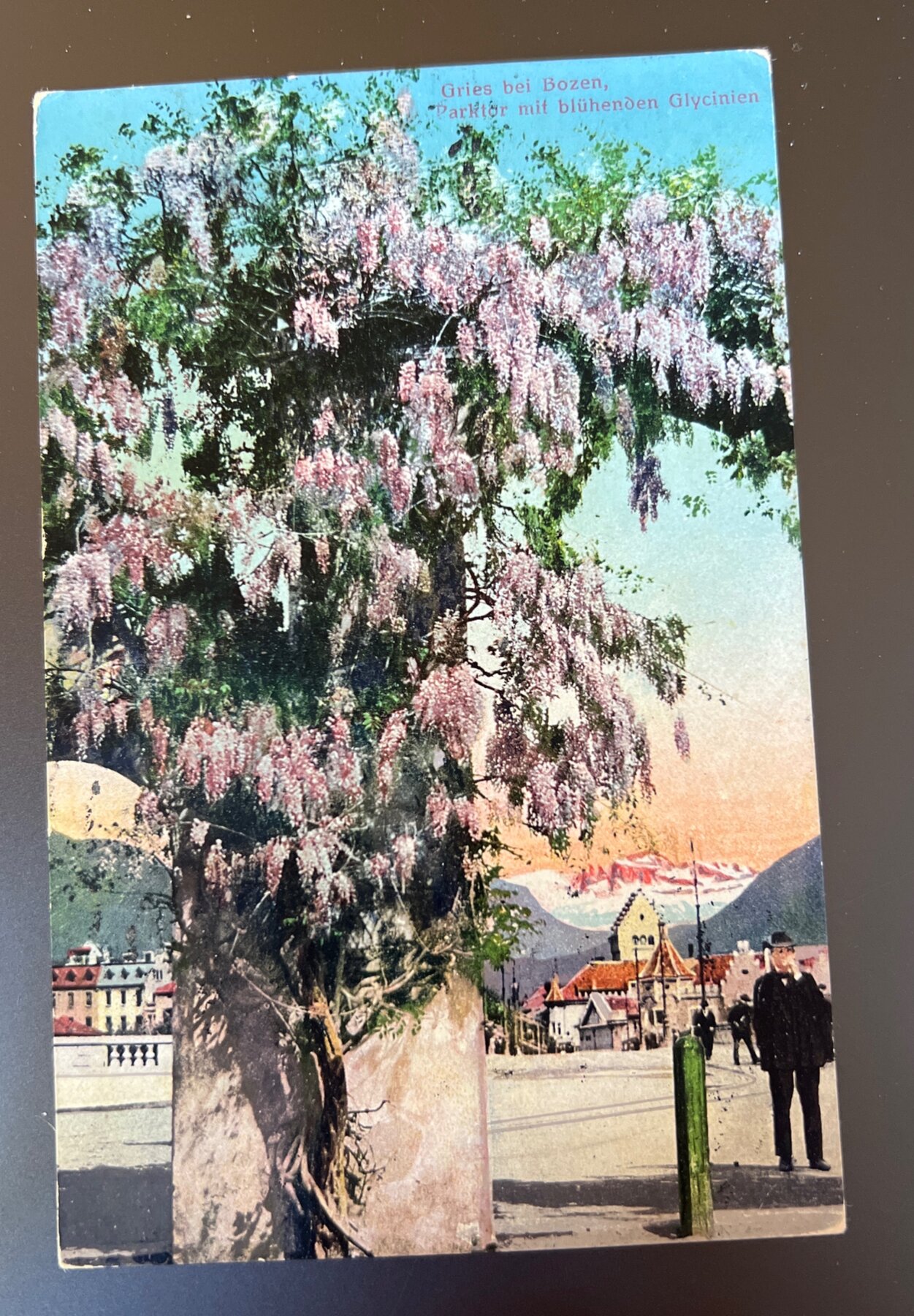 Gries Bozen South Tyrol Italy Wisteria Park Gate Postcard c1922