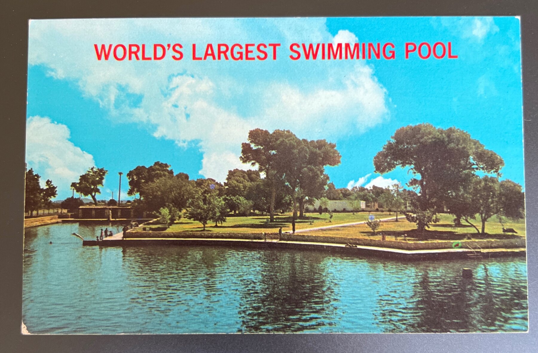 Balmorhea State Park World Largest Swimming Pool San Solomon Springs Texas Postcard 1970