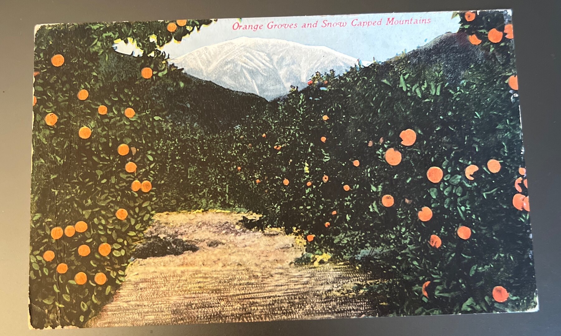 Postcard 1918 Orange Groves Snow Capped Mountains California Pre-Linen Mailed
