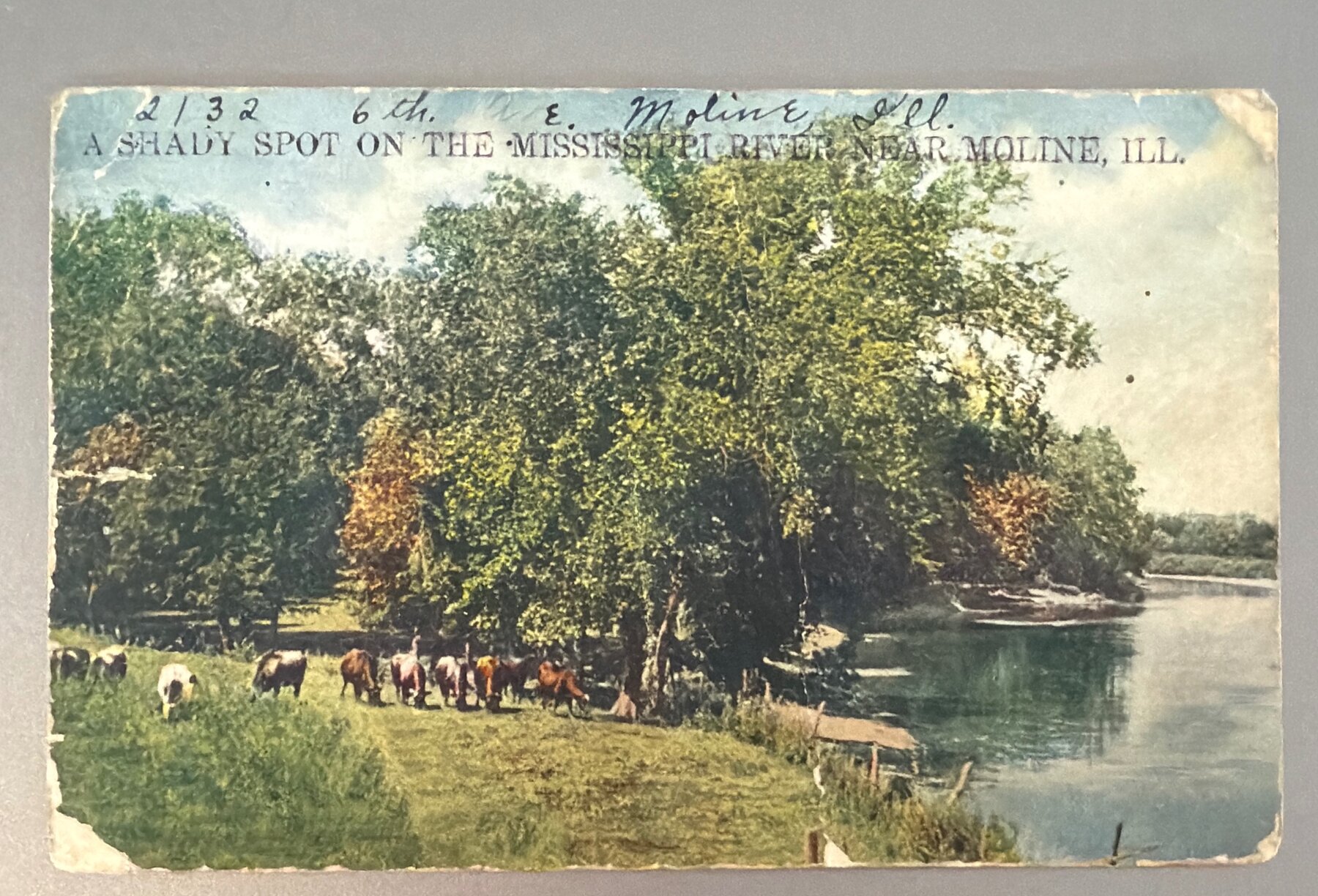 Postcard 1911 Shady Spot Mississippi River Moline Illinois Lula Used Ohio